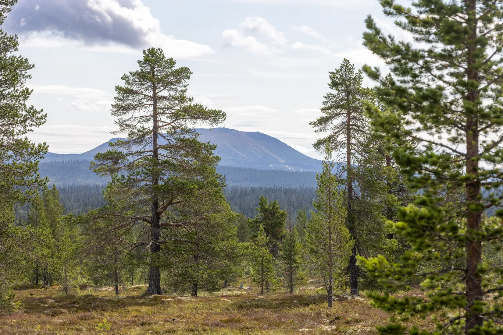 Fritidshus, Slagavallen Storhåvägen 5, Härjedalen