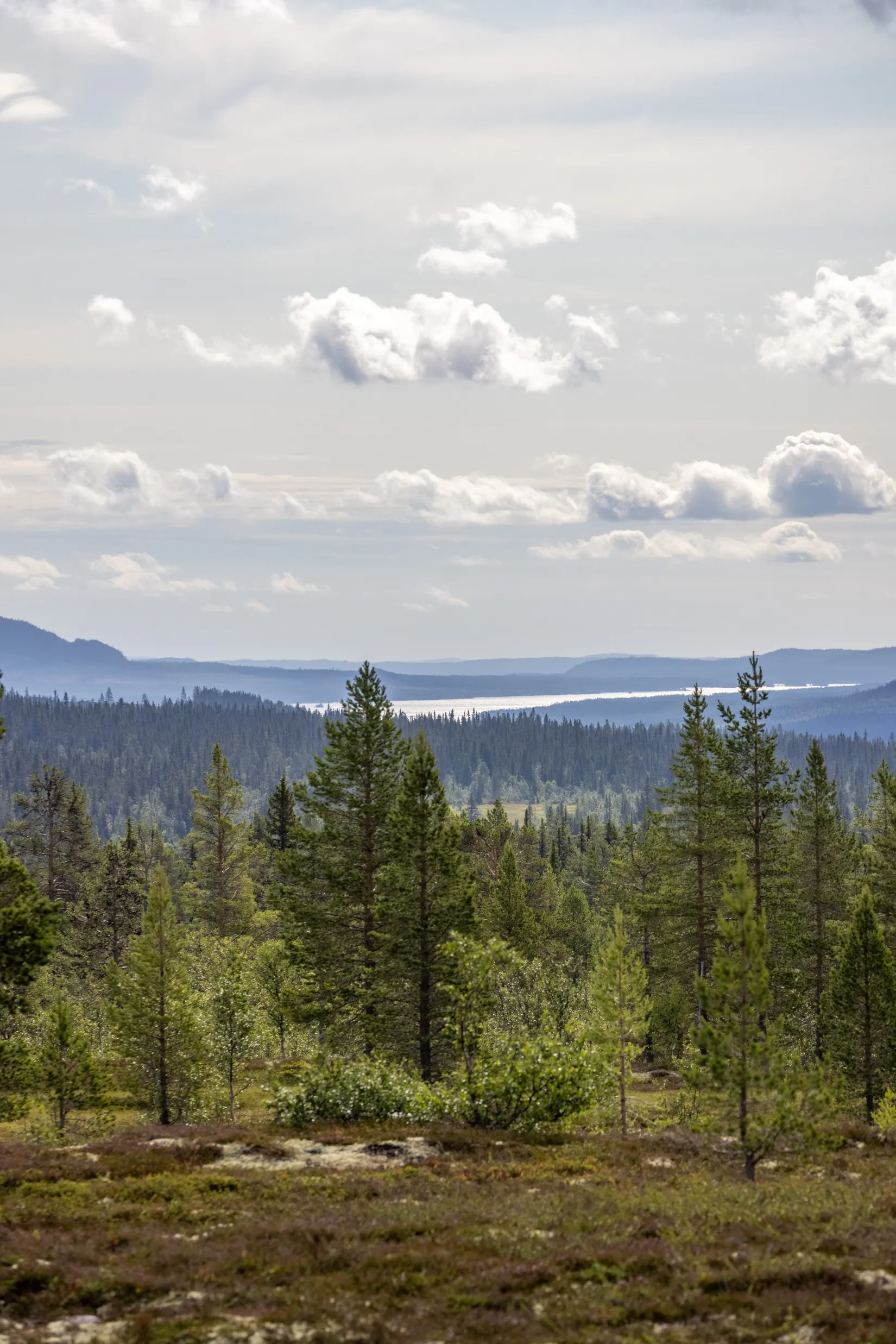 Fritidshus, Slagavallen Storhåvägen 5, Härjedalen