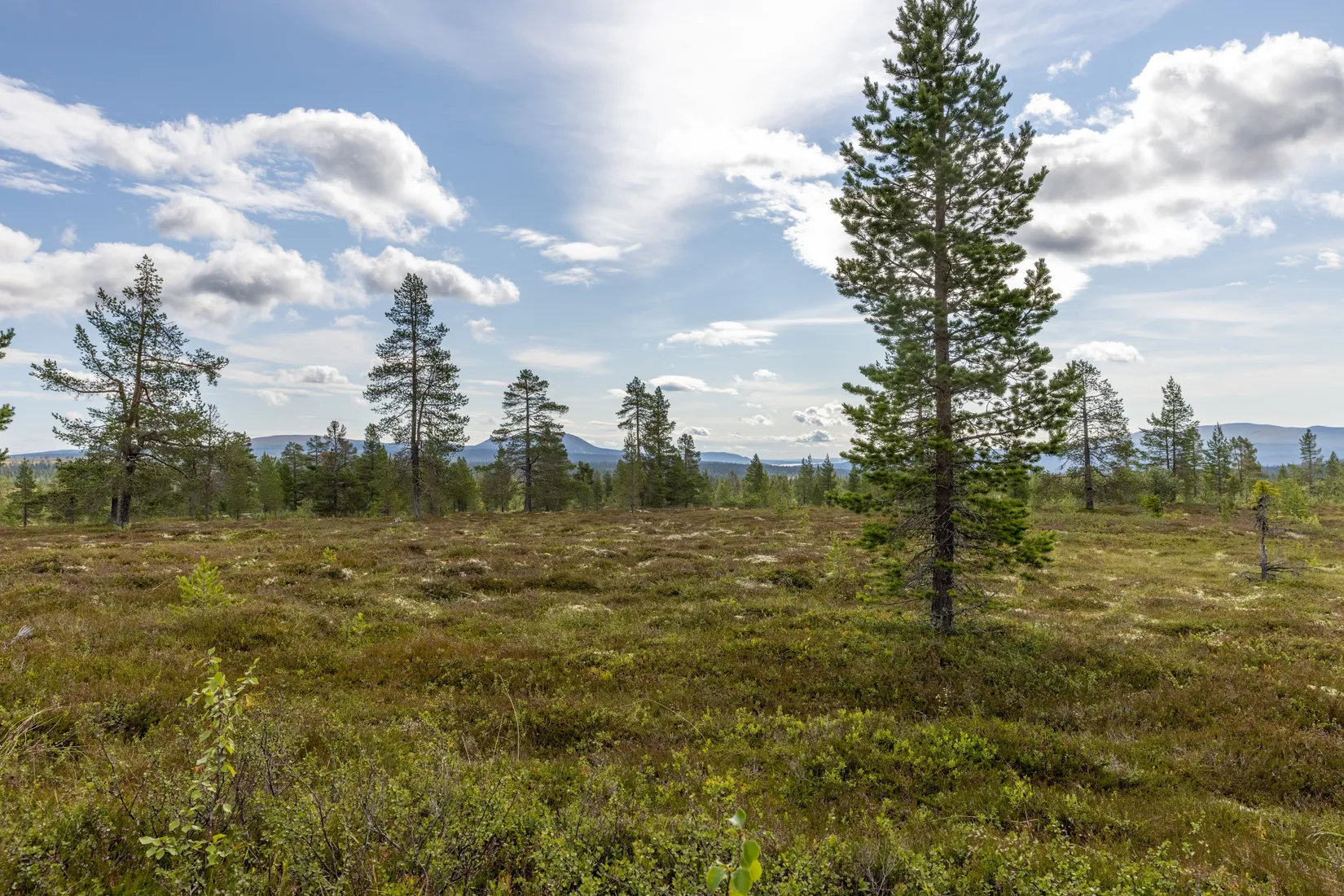Fritidshus, Slagavallen Storhåvägen 5, Härjedalen