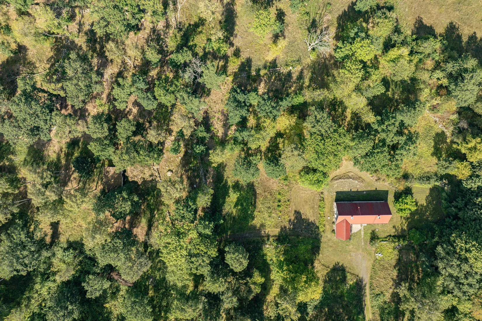 Gård/Skog, Råboavägen 7, Rörum, Simrishamn