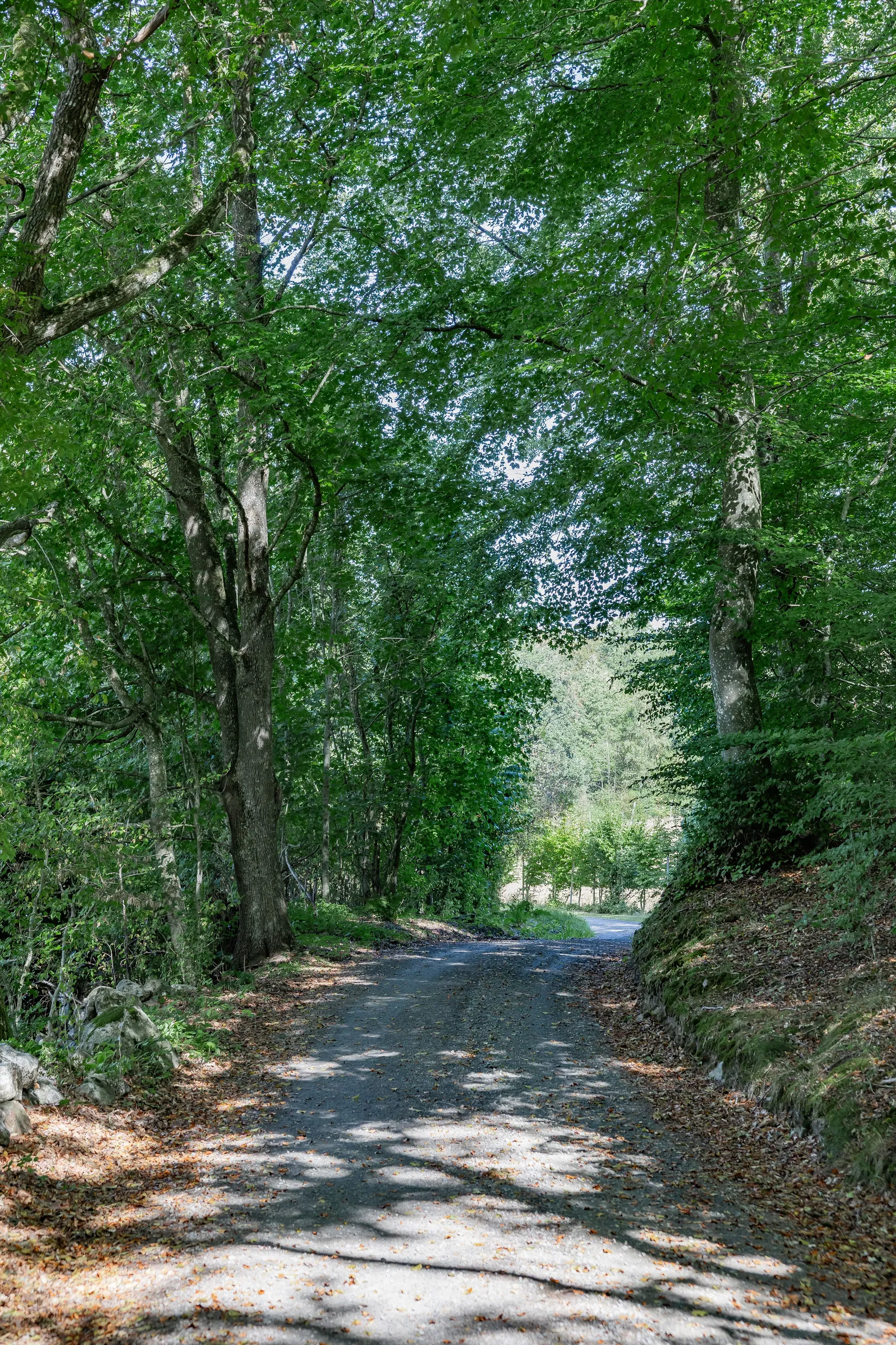 Gård/Skog, Råboavägen 7, Rörum, Simrishamn