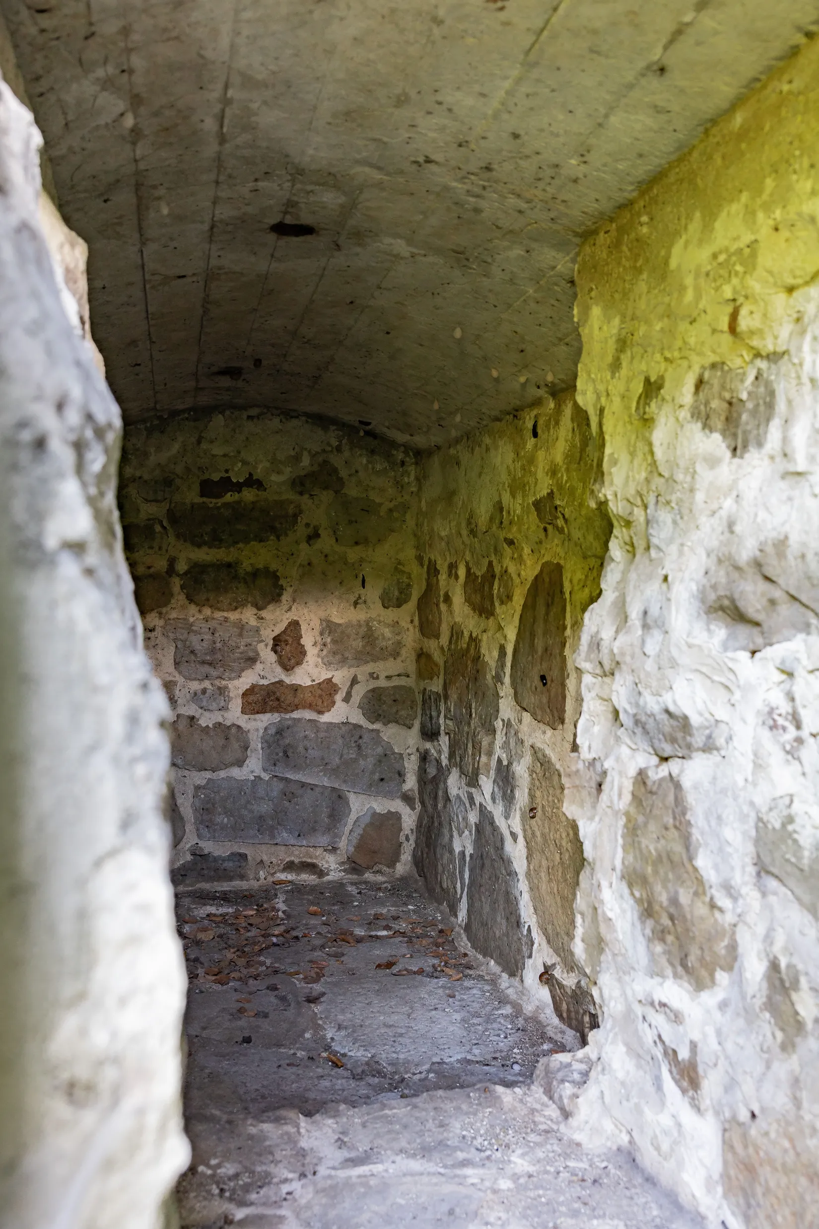 Gård/Skog, Råboavägen 7, Rörum, Simrishamn