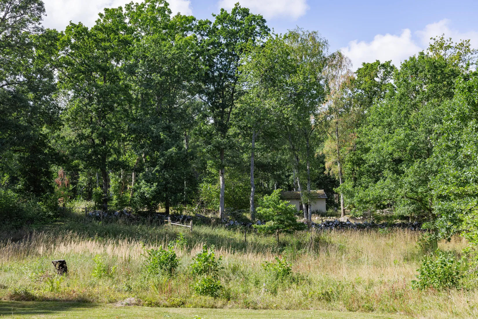 Gård/Skog, Råboavägen 7, Rörum, Simrishamn