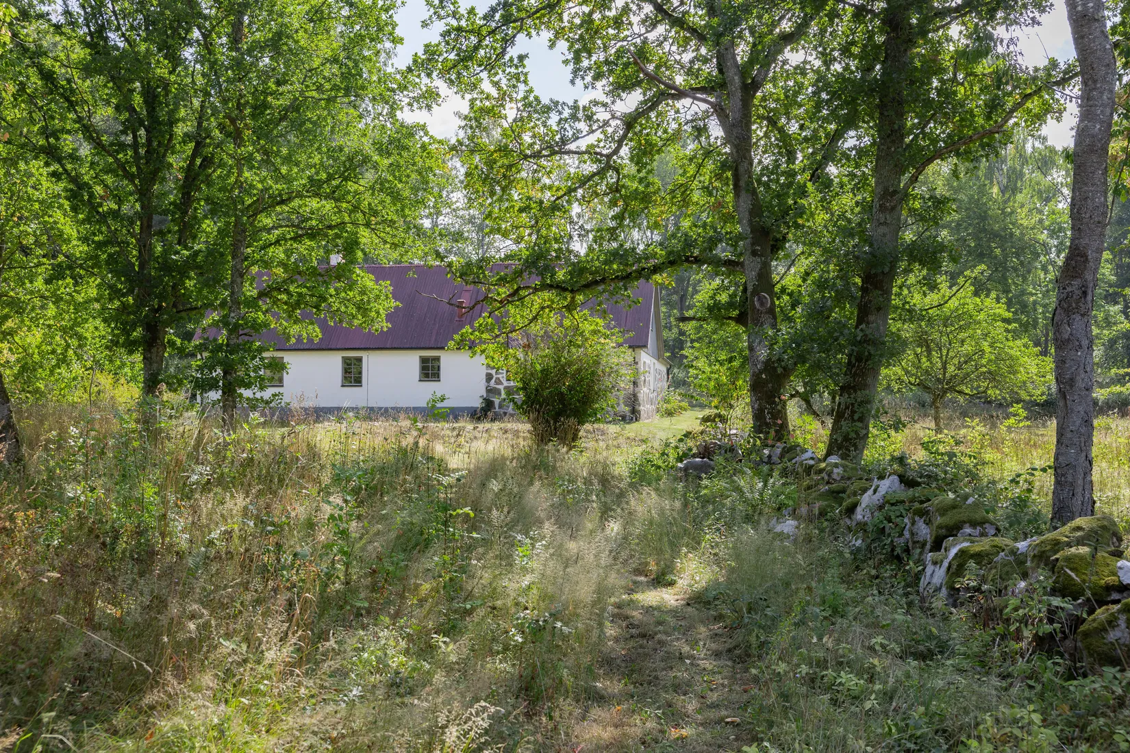 Gård/Skog, Råboavägen 7, Rörum, Simrishamn