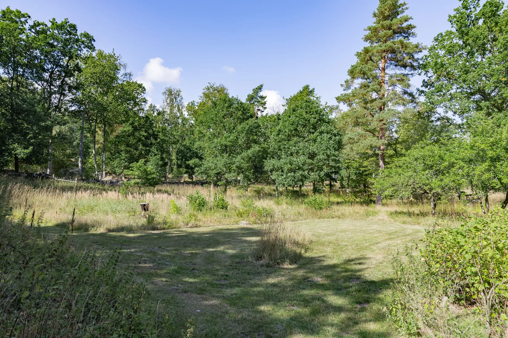 Gård/Skog, Råboavägen 7, Rörum, Simrishamn