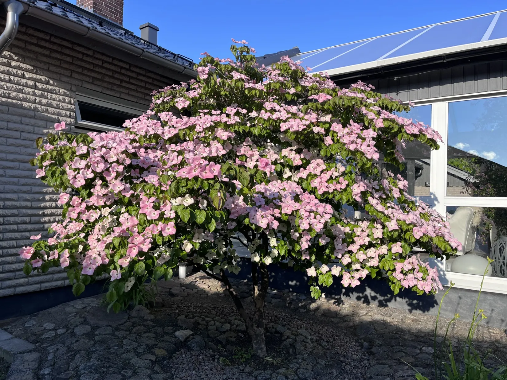 Villa, Blåeldsvägen 1, Pallers, Kristianstad