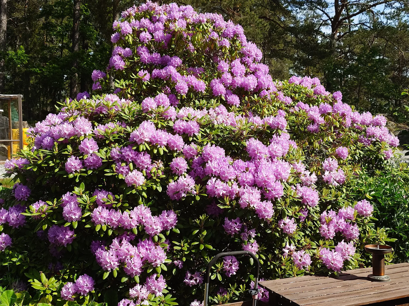 Fritidshus, Svedlandsvägen 7, Edeby, Strängnäs
