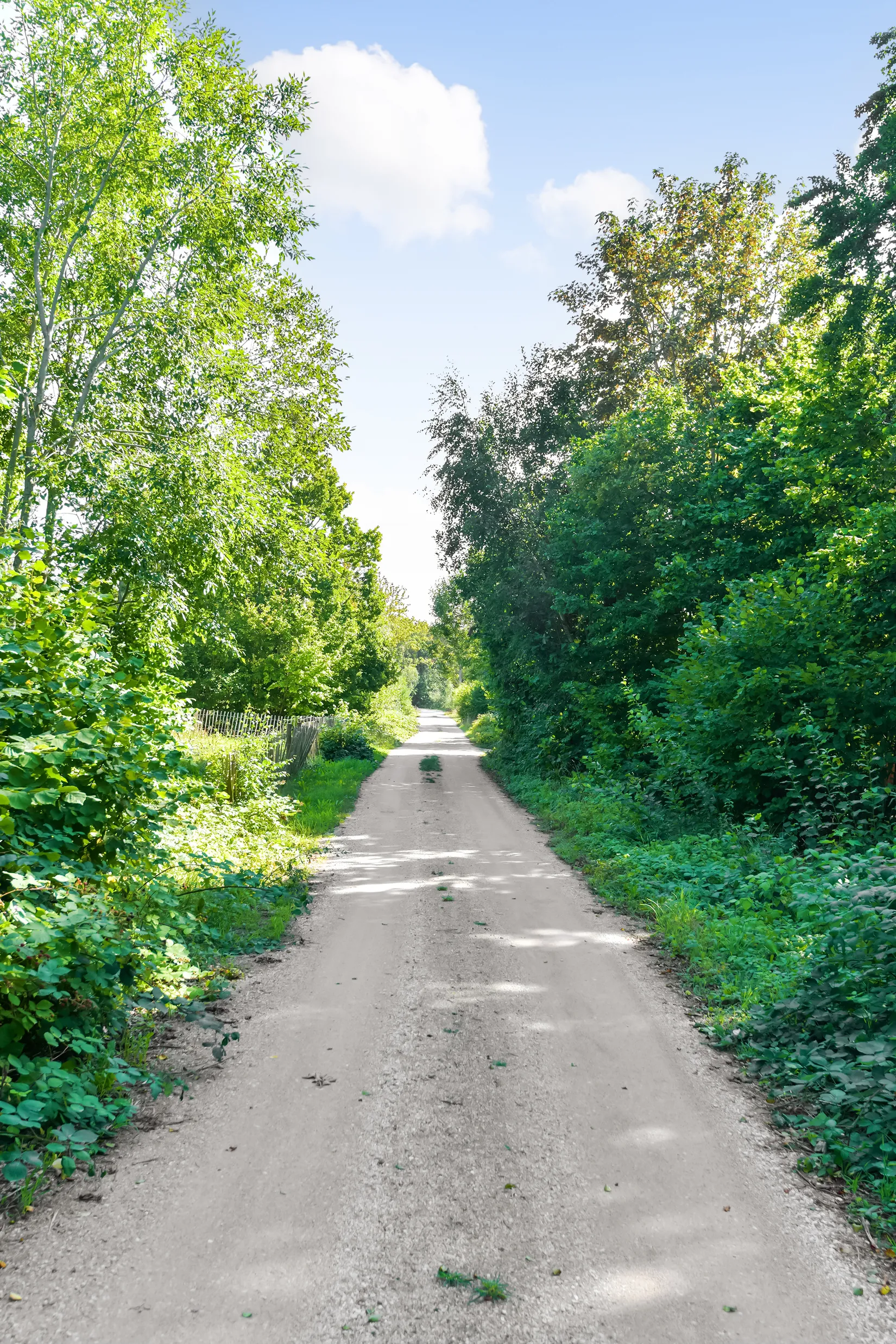 Tomt, Öja Olovs 421A, Burgsvik samhälle, Gotland