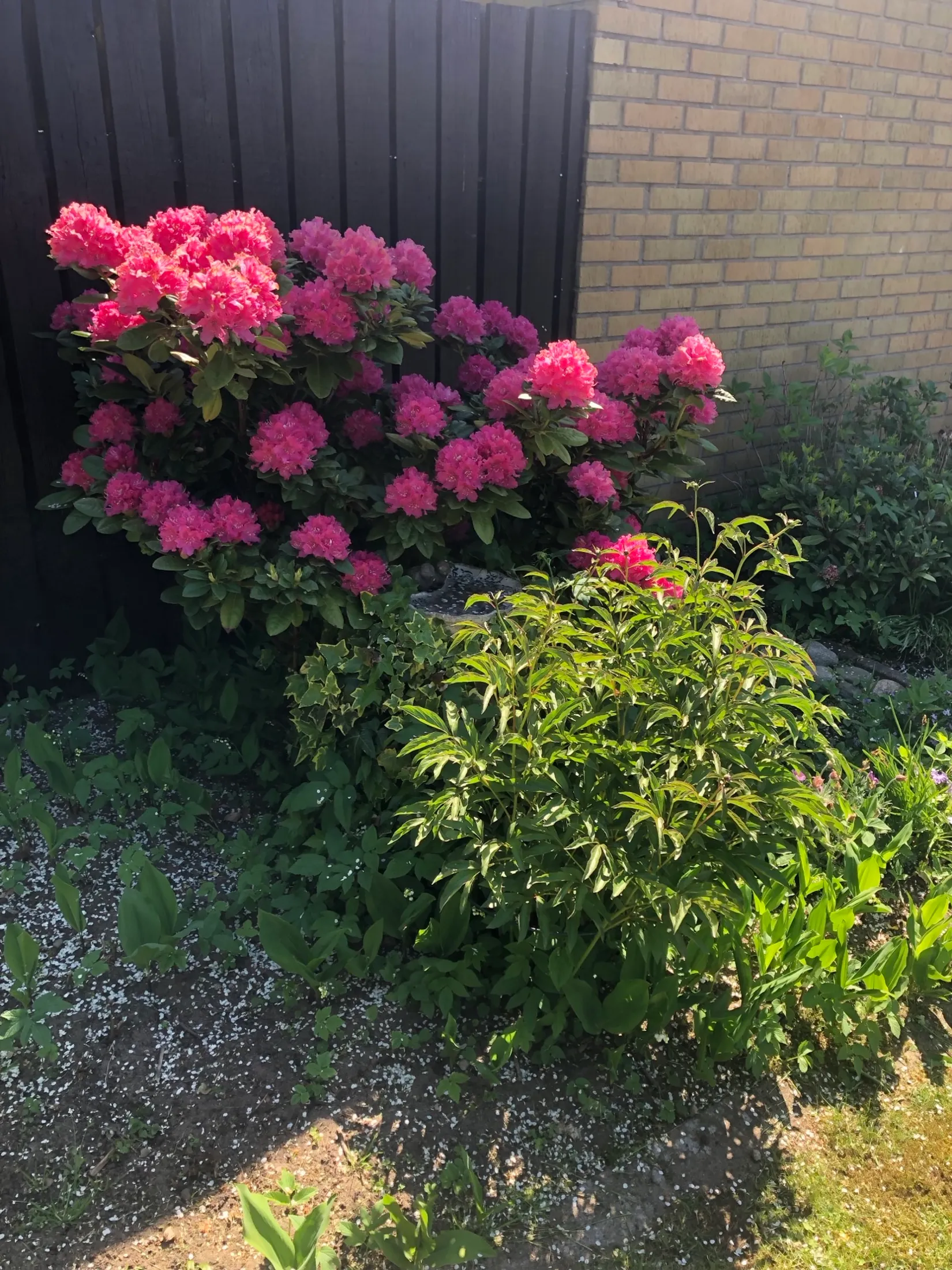 Radhus, Kamrersvägen 9, Bjärred Centralt, Lomma