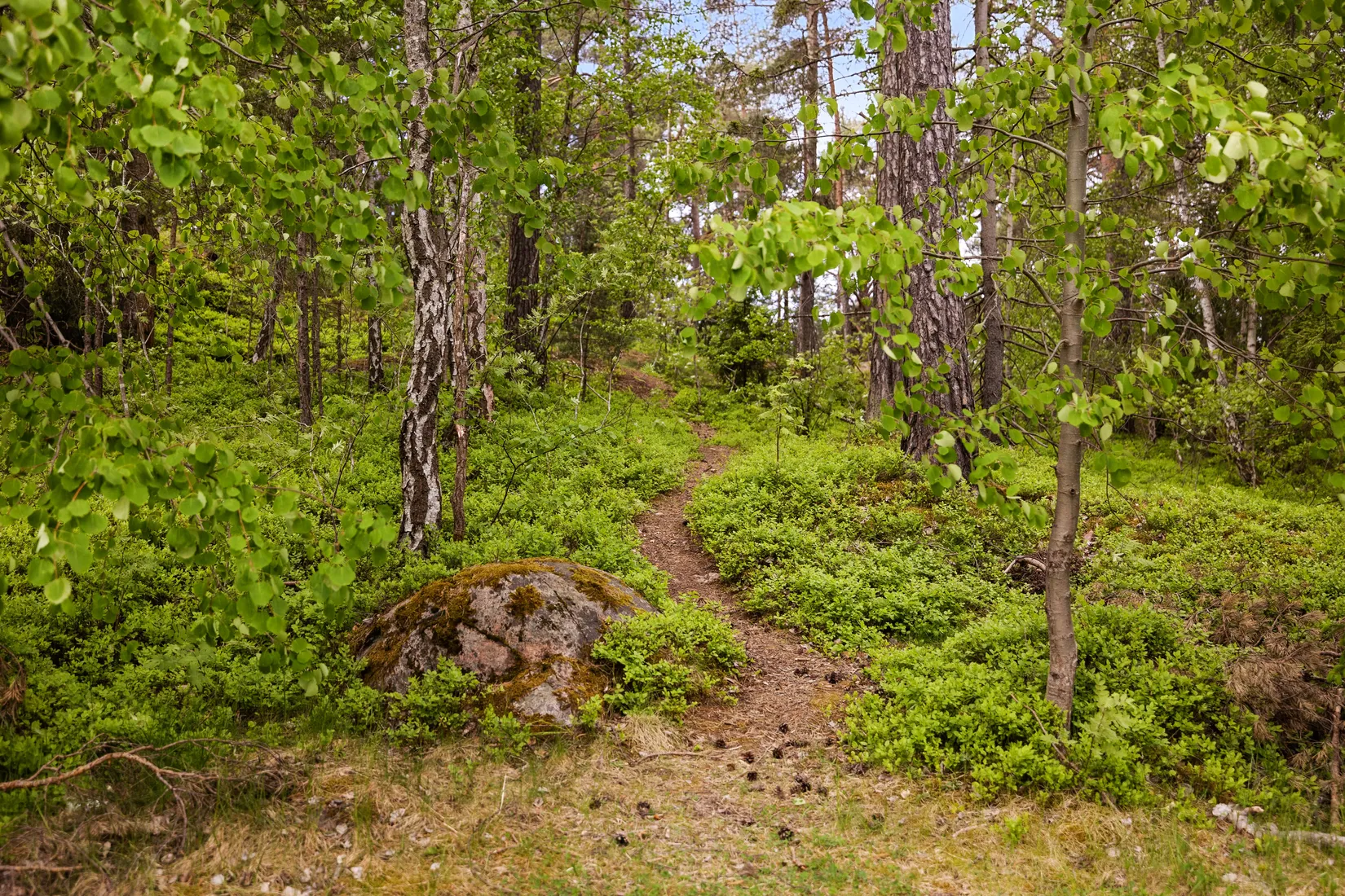 Radhus, Ryttmästarvägen 29, Rissne, Sundbyberg