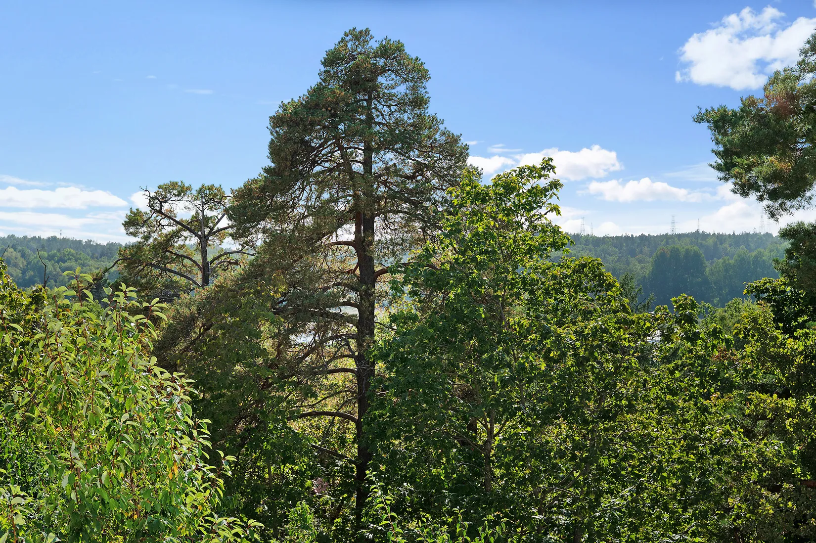 Bostadsrätt, Gräsandsvägen 25, Fagersjö, Stockholm