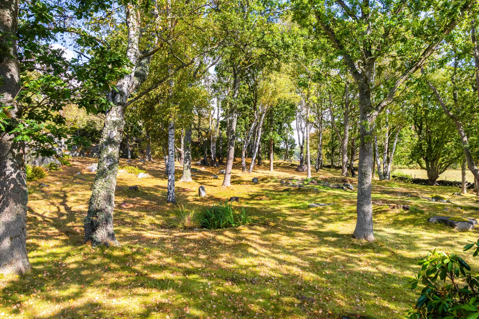 Villa, Knapegårdsvägen 195, Onsala, Kungsbacka