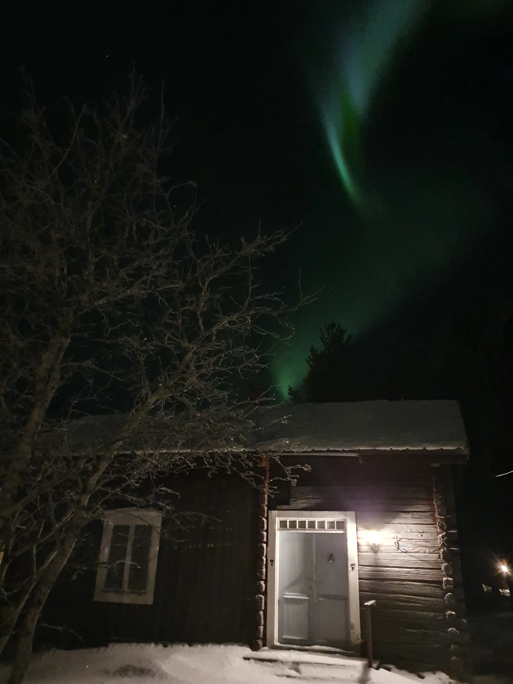 Gård/Skog, Ålund 29, Ålund, Skellefteå