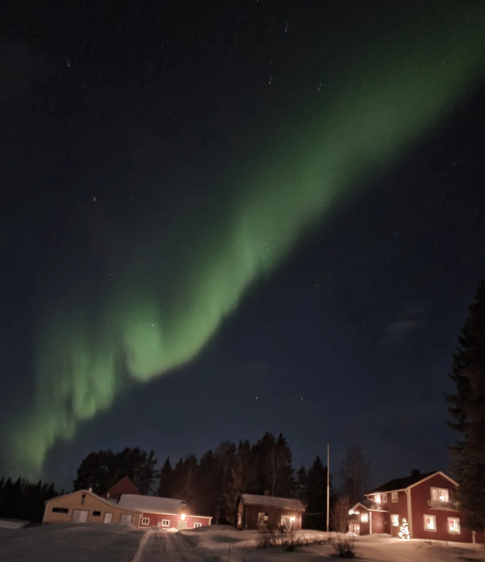 Gård/Skog, Ålund 29, Ålund, Skellefteå