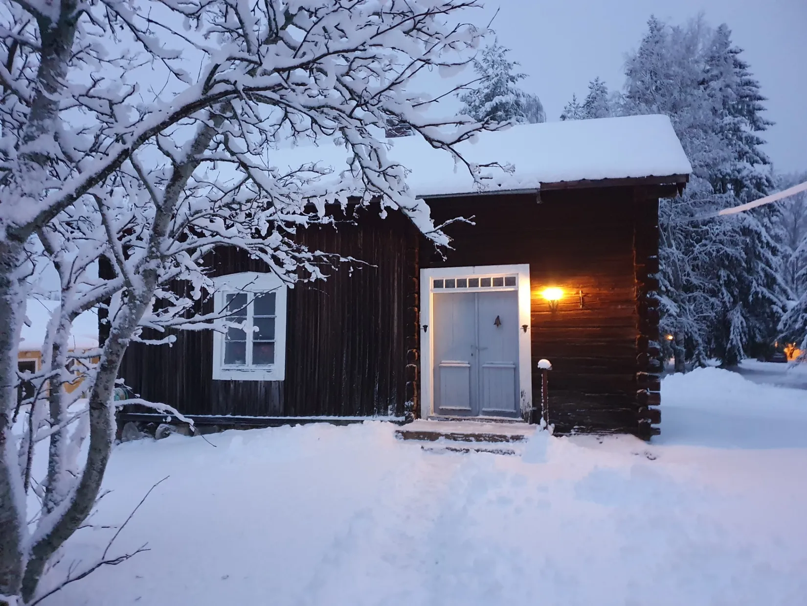 Gård/Skog, Ålund 29, Ålund, Skellefteå