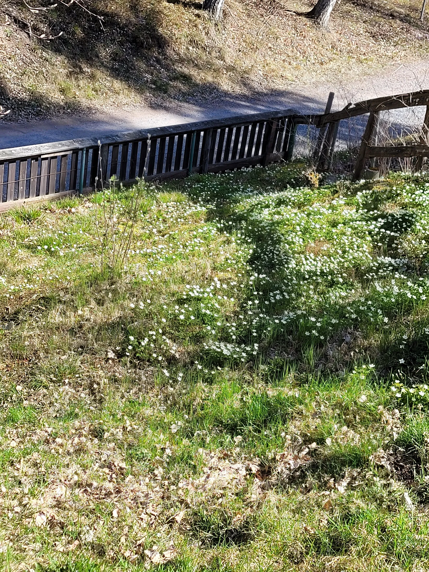 Villa, Grindvägen 2, Yttergran, Håbo