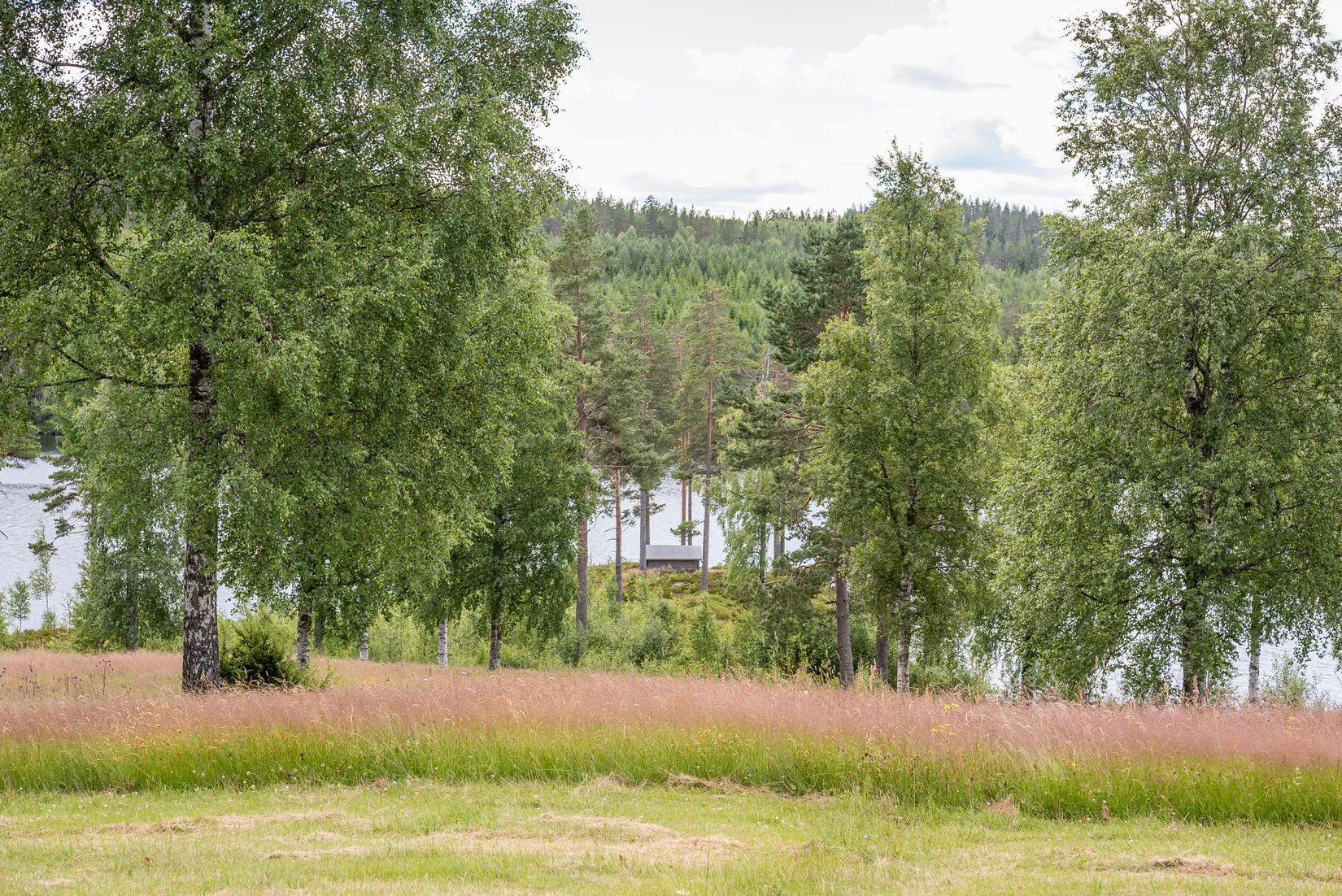 Gård/Skog, Runnsjön 35, Torsby