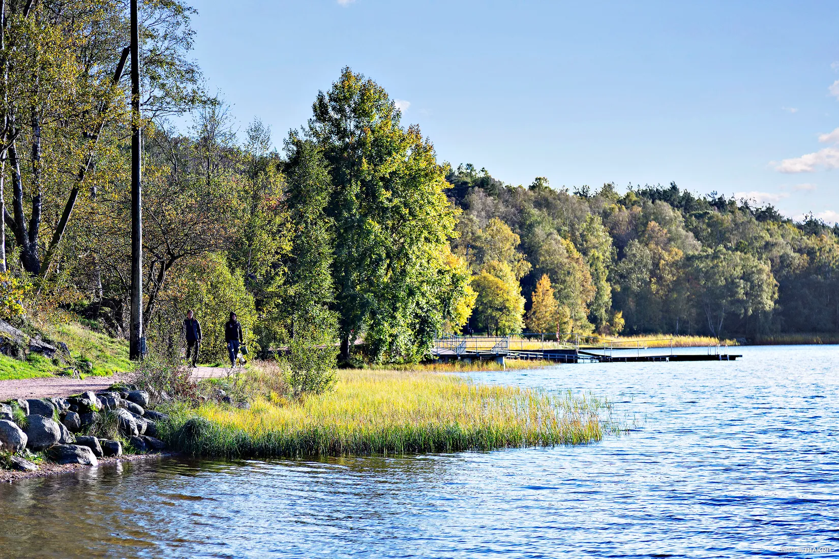 Villa, Östra Bäckevägen 20, Sävedalen, Partille