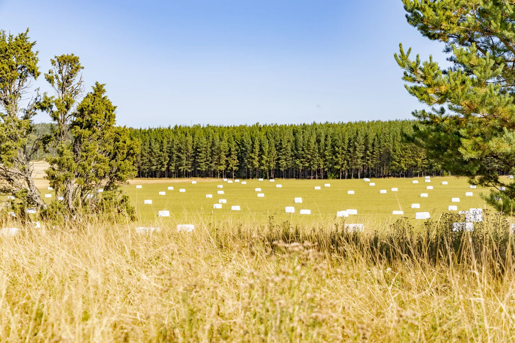 Fritidshus, Österunda Hässelsta 5 & 6, Österunda, Enköping