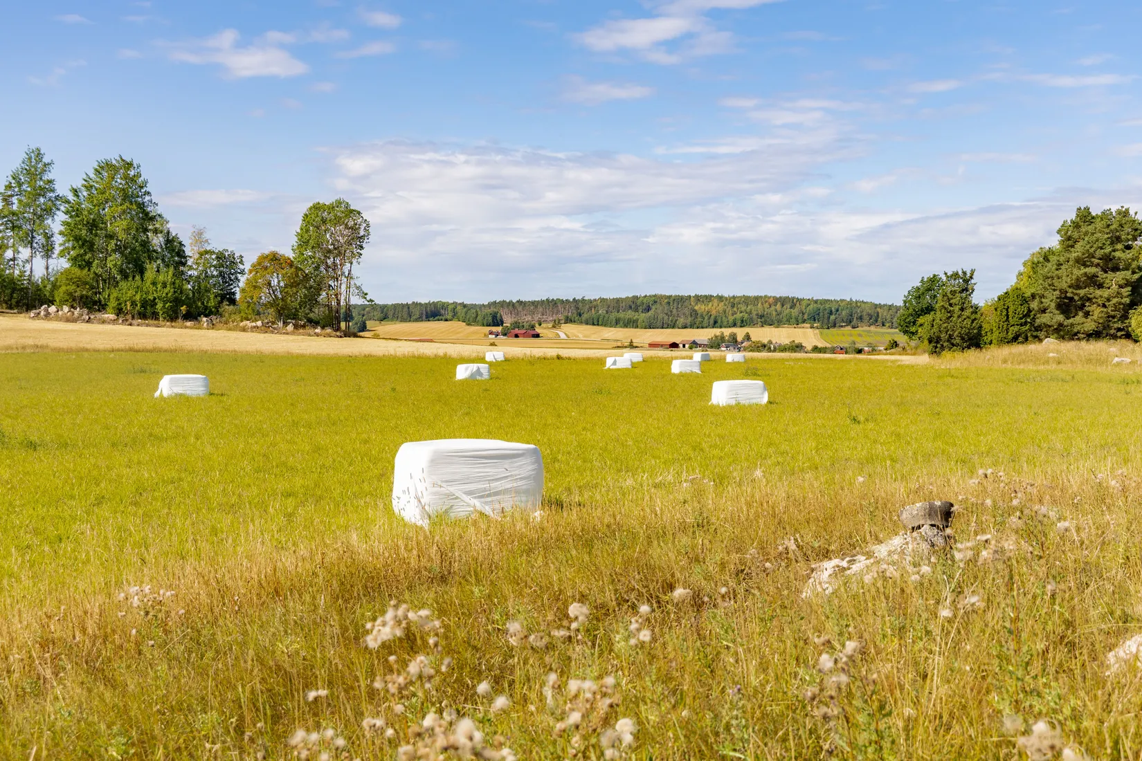 Fritidshus, Österunda Hässelsta 5 & 6, Österunda, Enköping