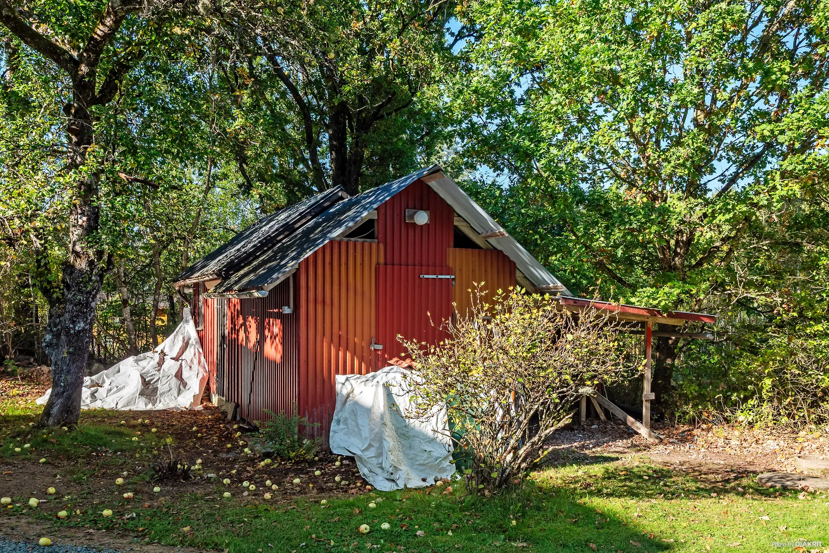 Villa, Forshallsvägen 6, Mark