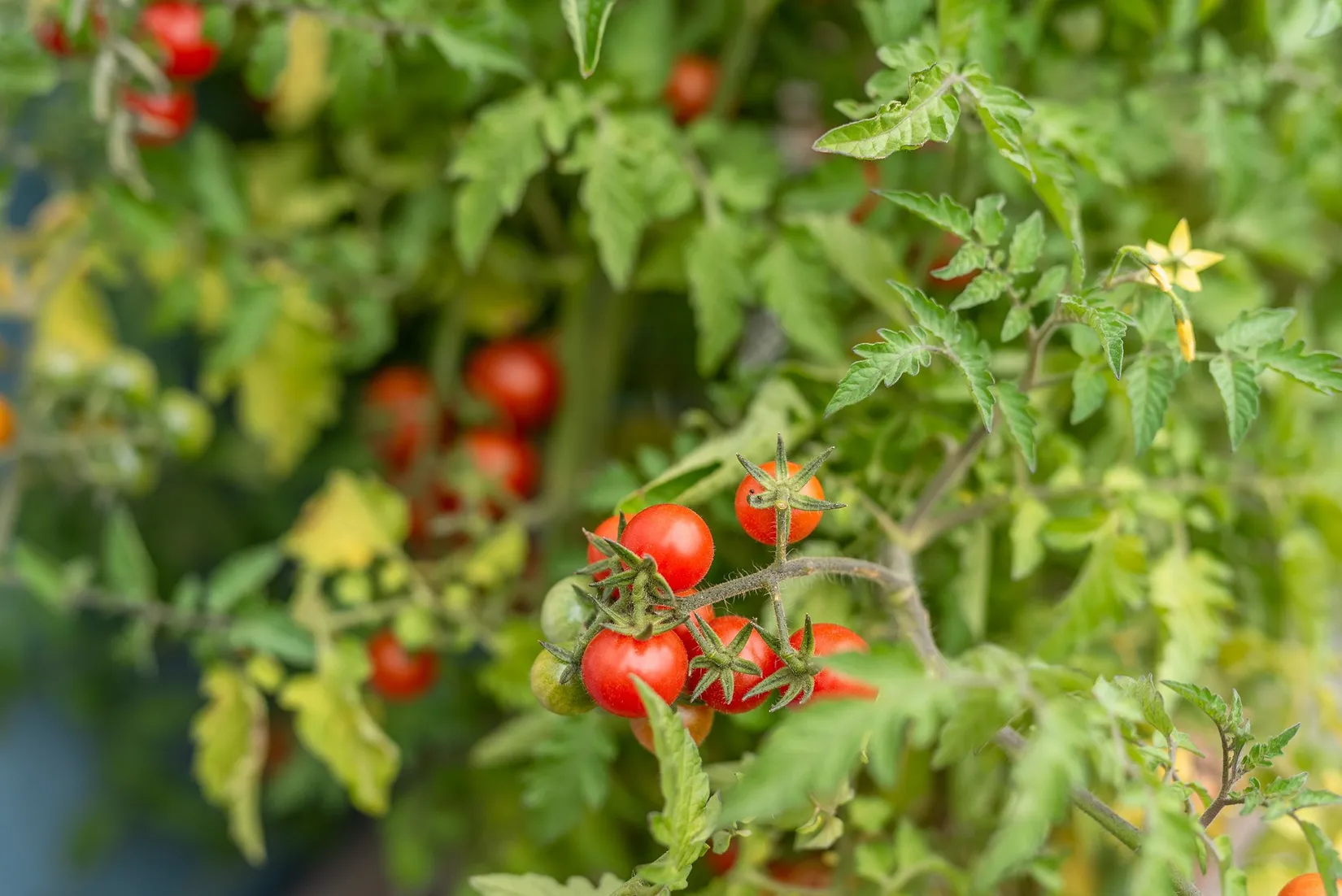 Bostadsrätt, Spjutgatan 34, Ektorp, Norrköping