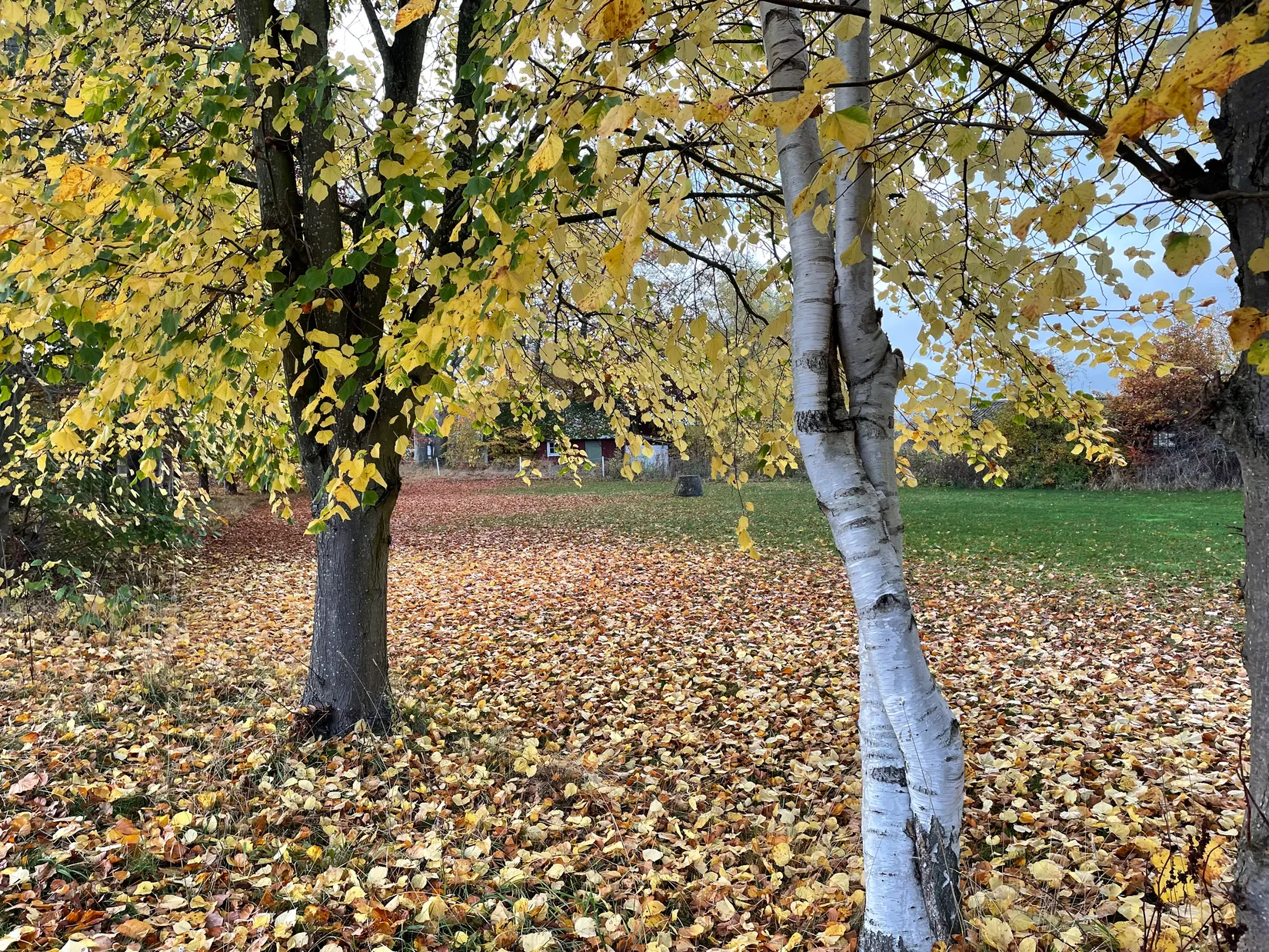 Tomt, Varalövsvägen, Varalöv, Ängelholm