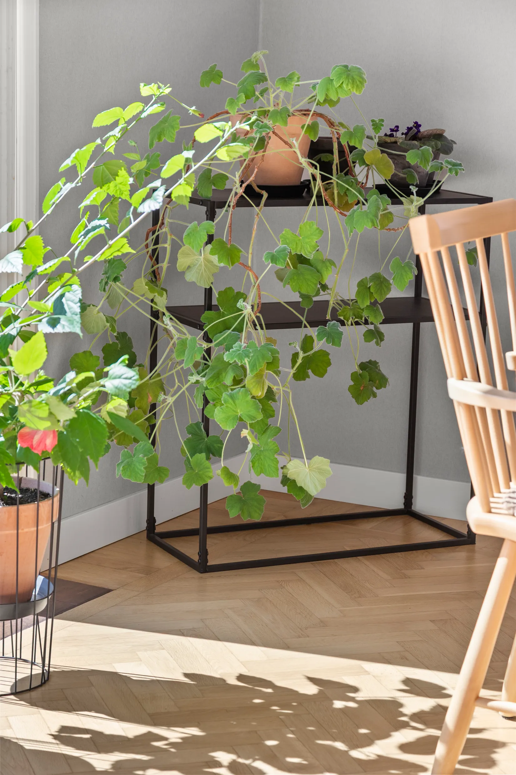 Villa, Träslövsvägen 38, Tranelyckan, Varberg