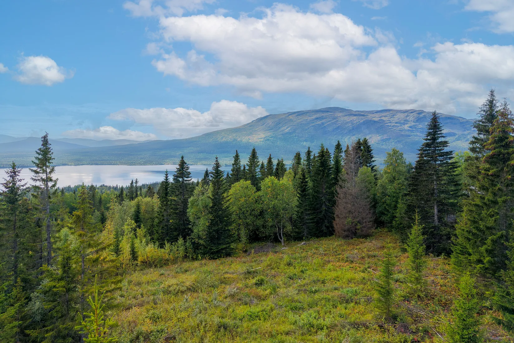 Tomt, Högåsvägen, Ottsjö 1:355, Ottsjö, Åre