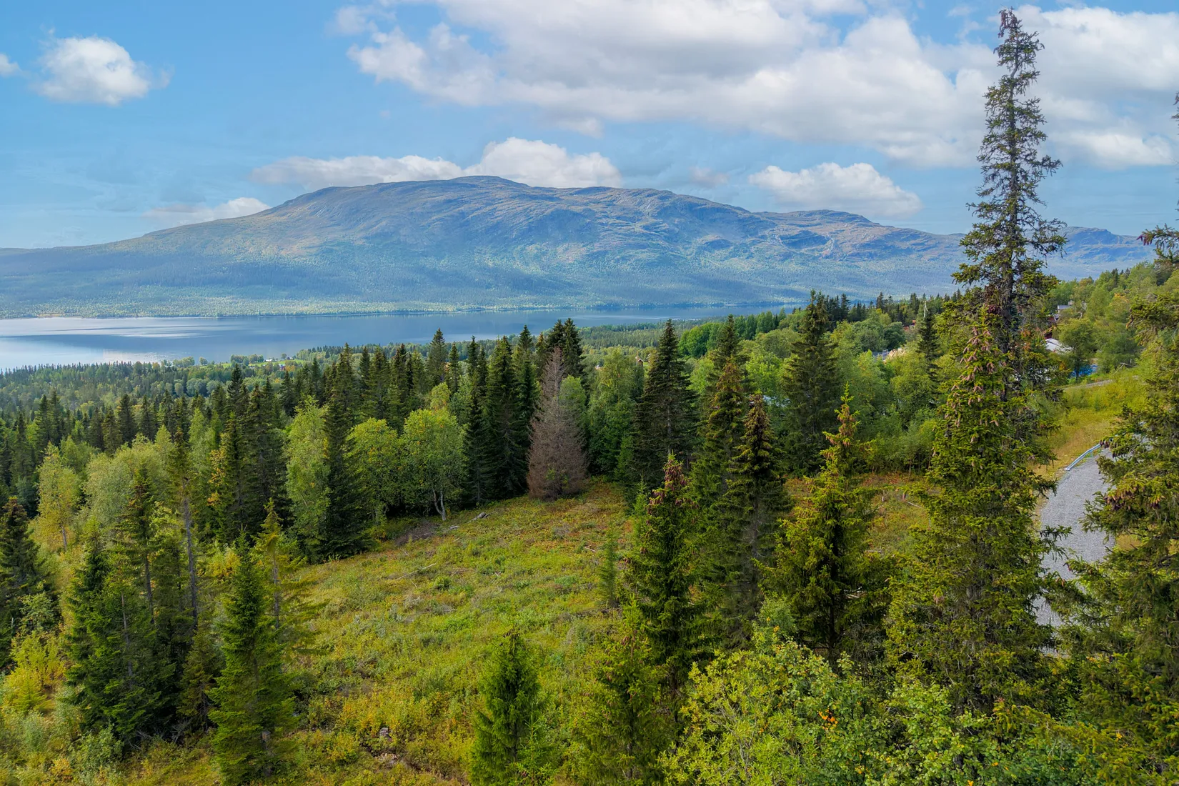 Tomt, Högåsvägen, Ottsjö 1:355, Ottsjö, Åre