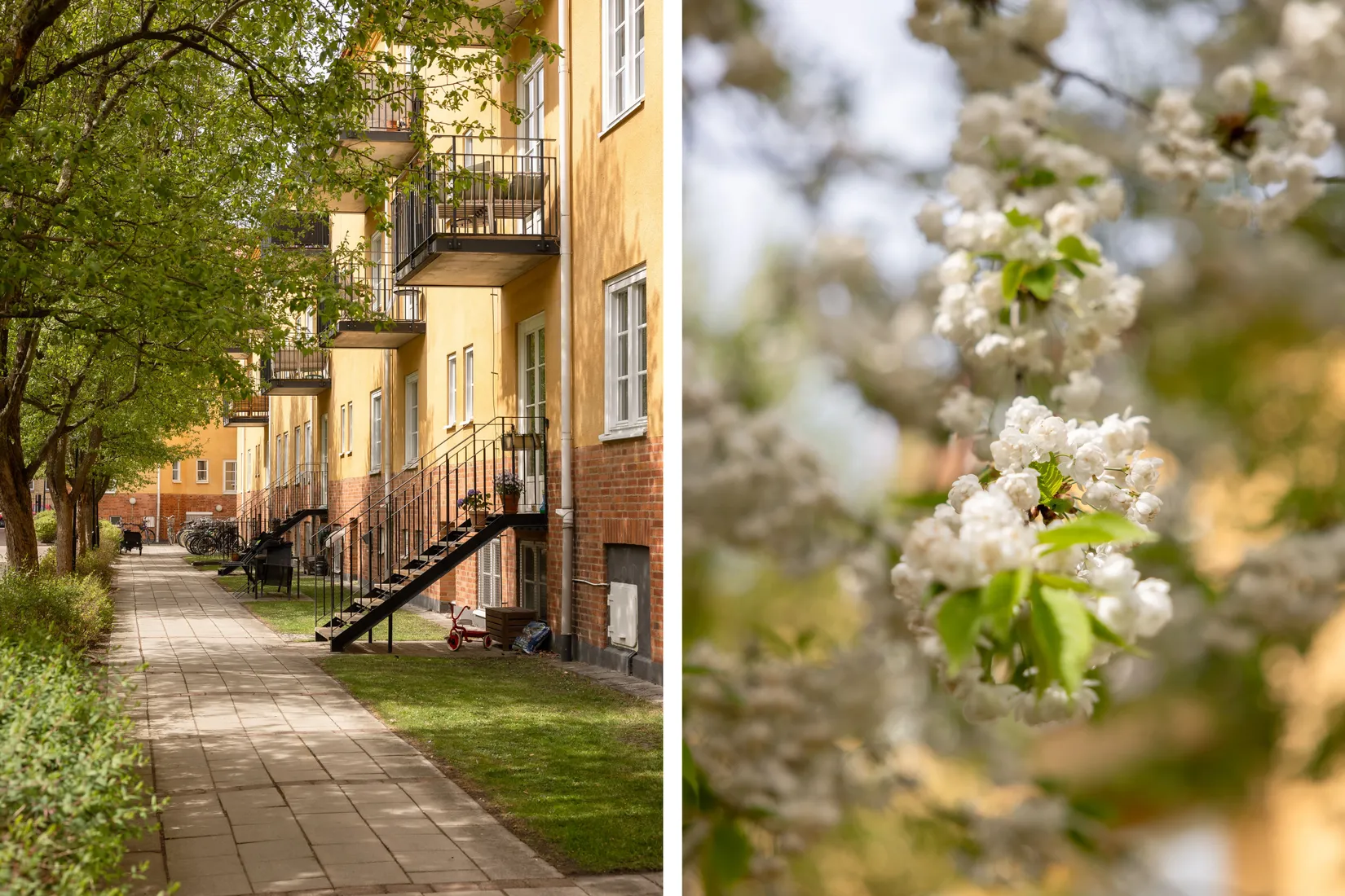 Bostadsrätt, Mariedalsvägen 7B, Ribersborg, Malmö