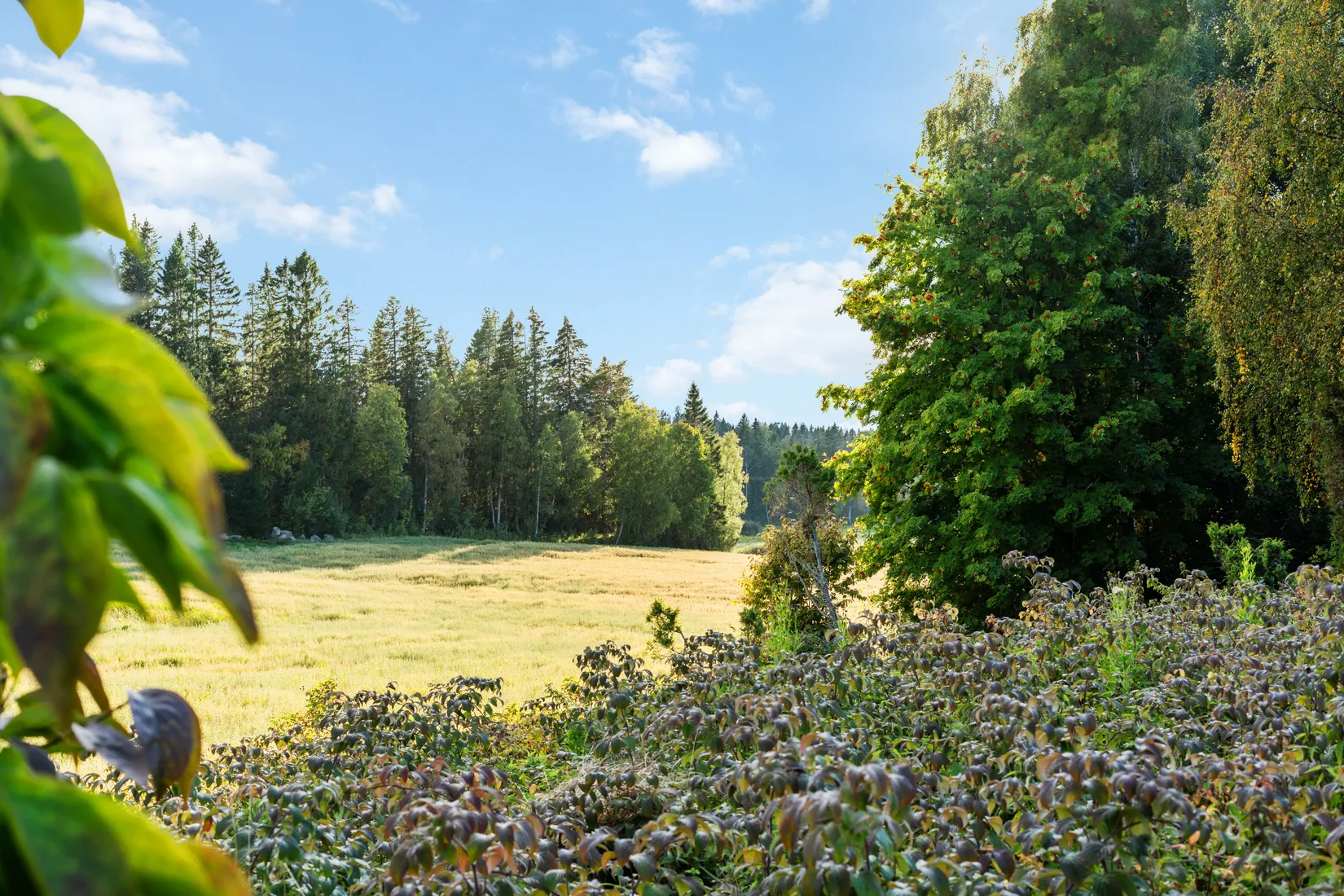 Villa, Holmö 222, Söråker, Timrå
