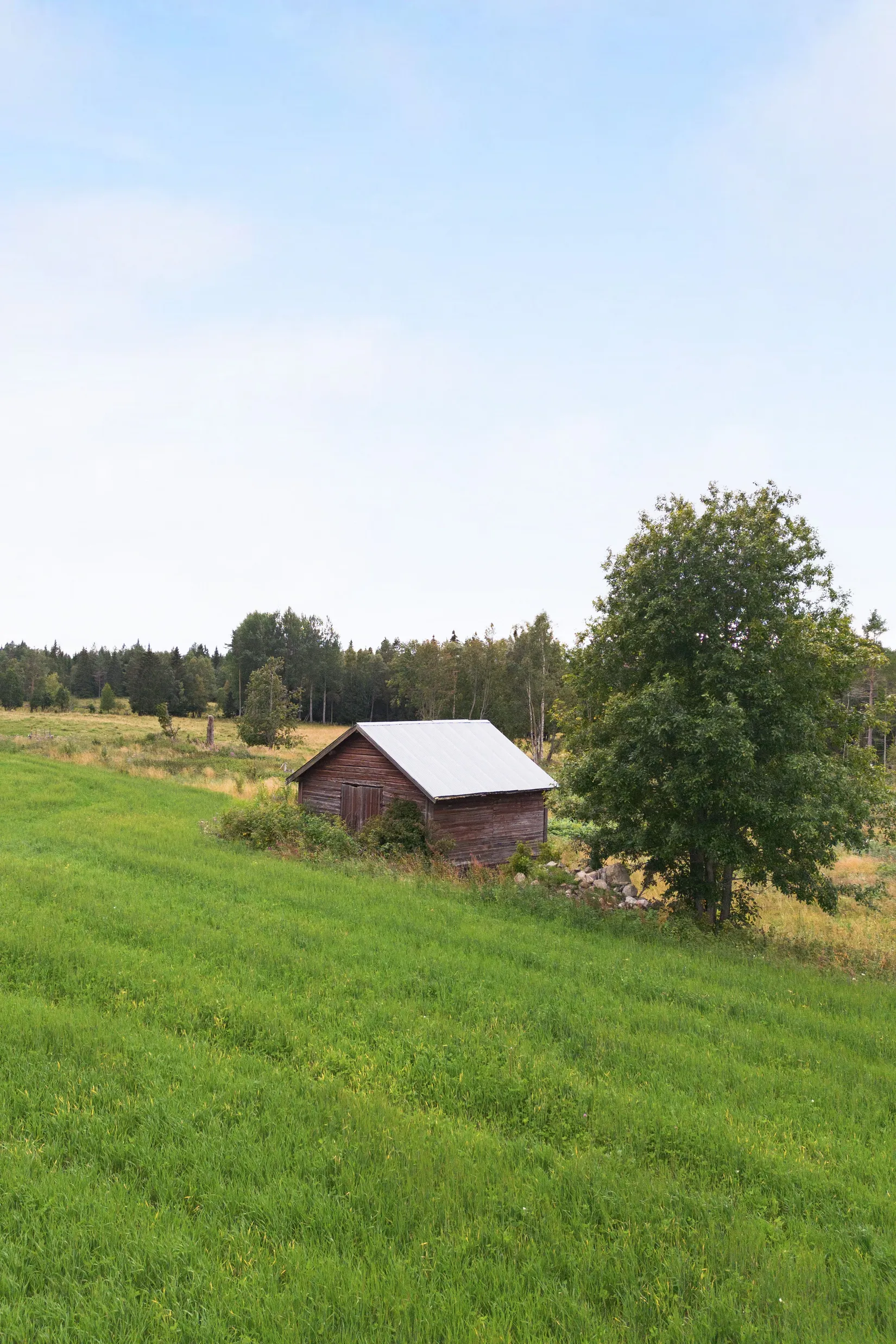 Gård/Skog, Måläng 185, Annersia, Östersund