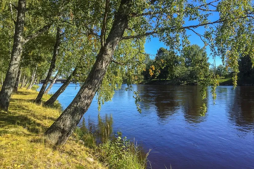 Bostadsrätt, Hagagatan 8E, Karlstad