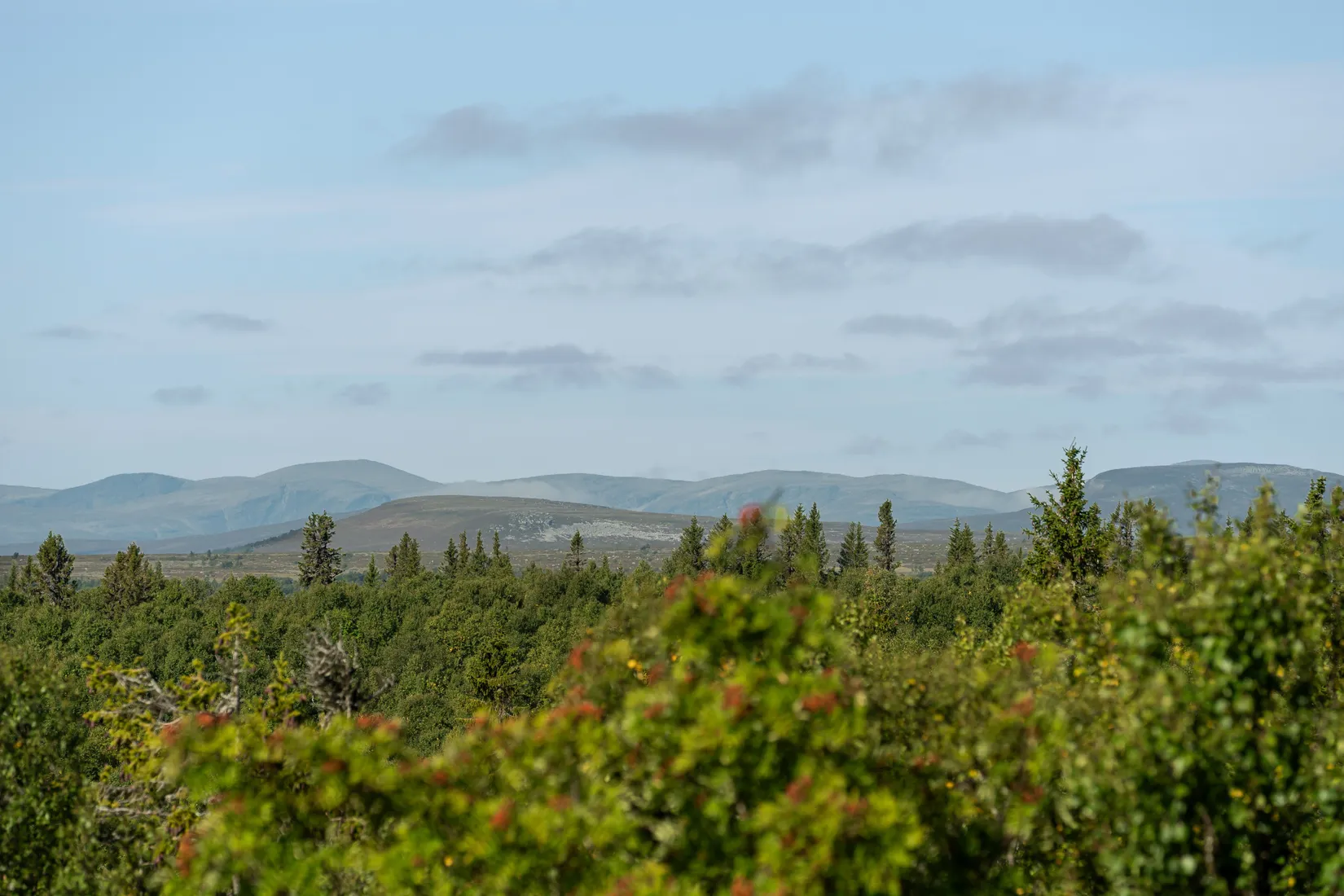 Fritidshus, Arådalen Gamla glenstigen 40, Arådalen, Berg