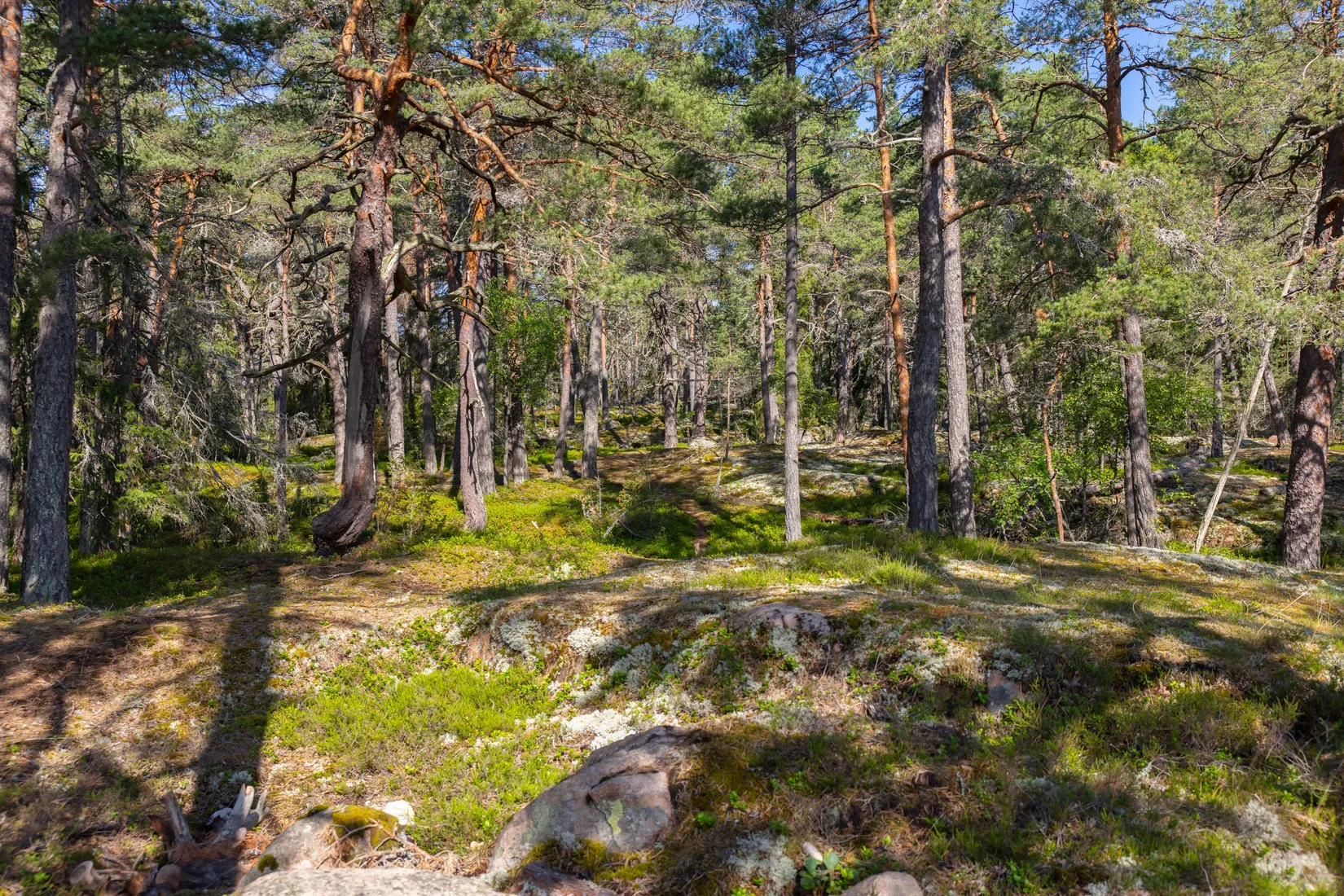 Villa, Kyrkvägen 29, Täby Kyrkby, Täby