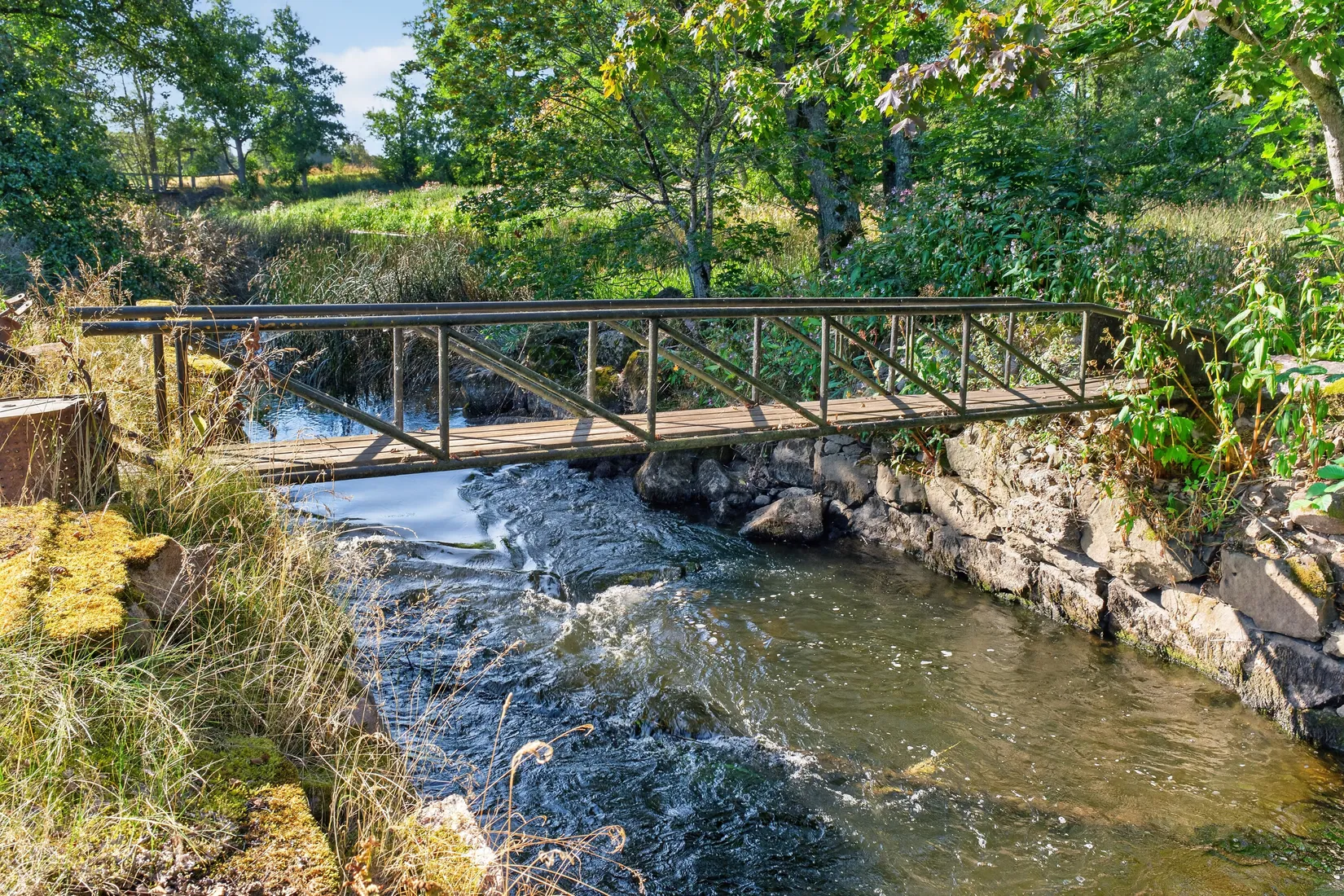 Gård/Skog, Kroppetorp Matildero 1, Tibro