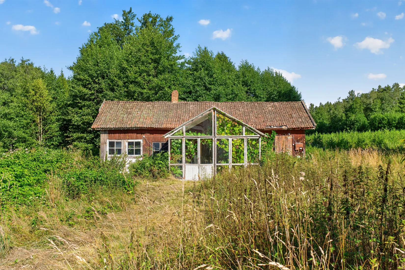 Gård/Skog, Kroppetorp Matildero 1, Tibro