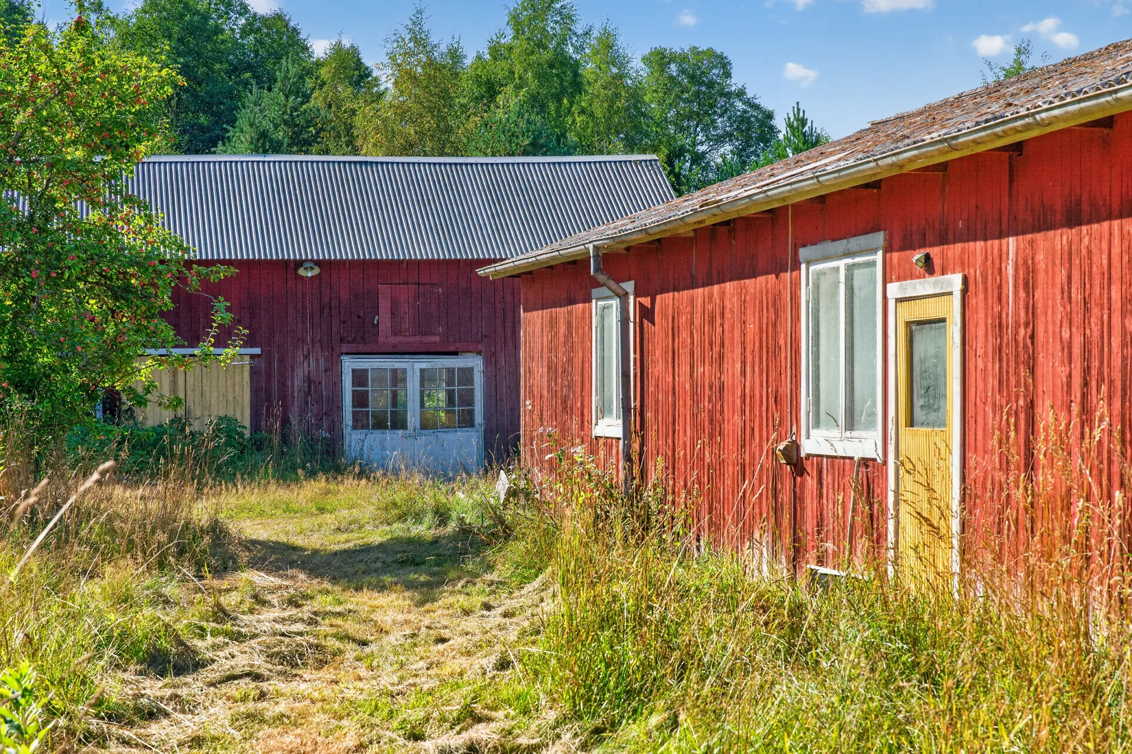 Gård/Skog, Kroppetorp Matildero 1, Tibro