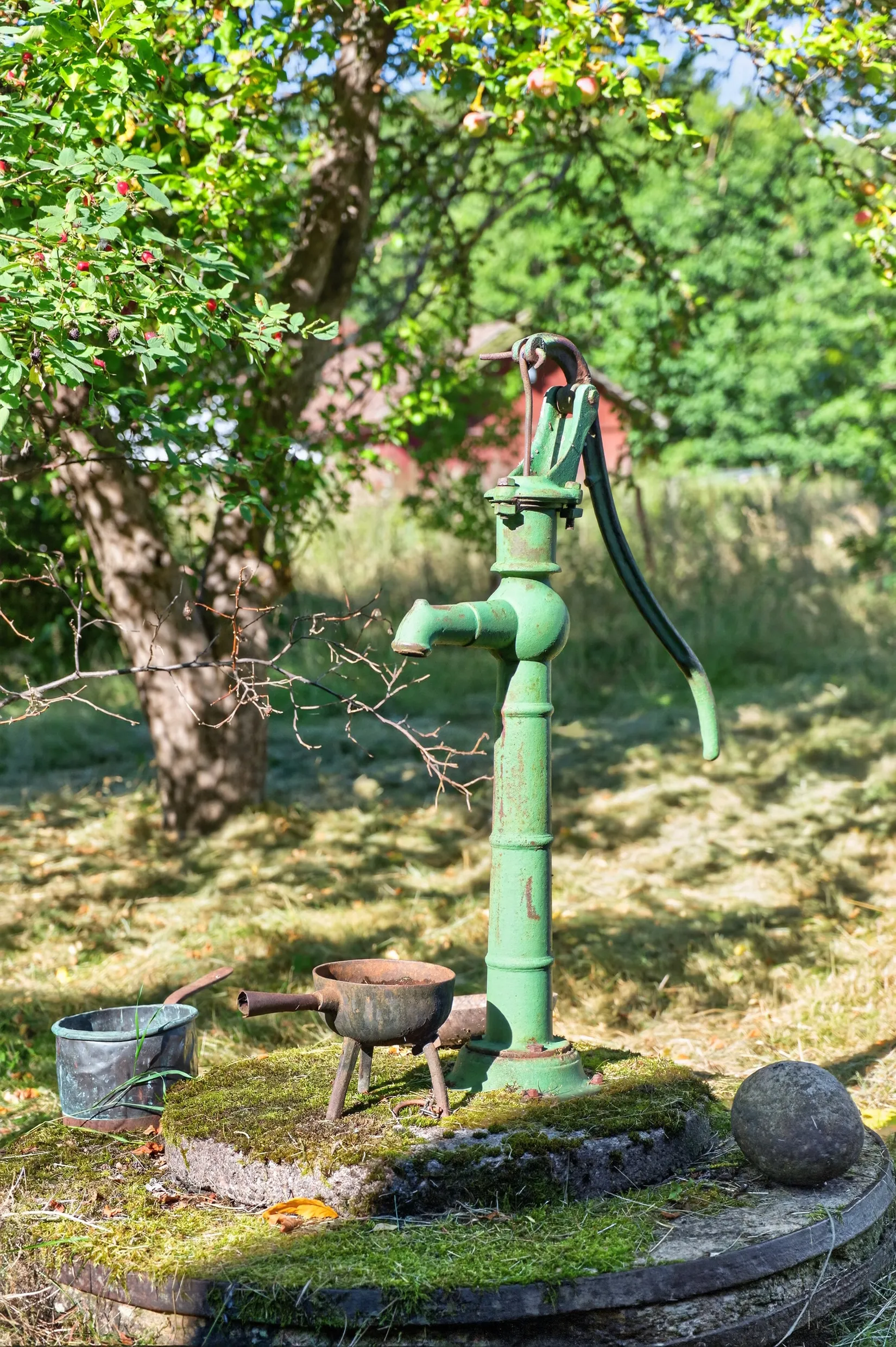Gård/Skog, Kroppetorp Matildero 1, Tibro