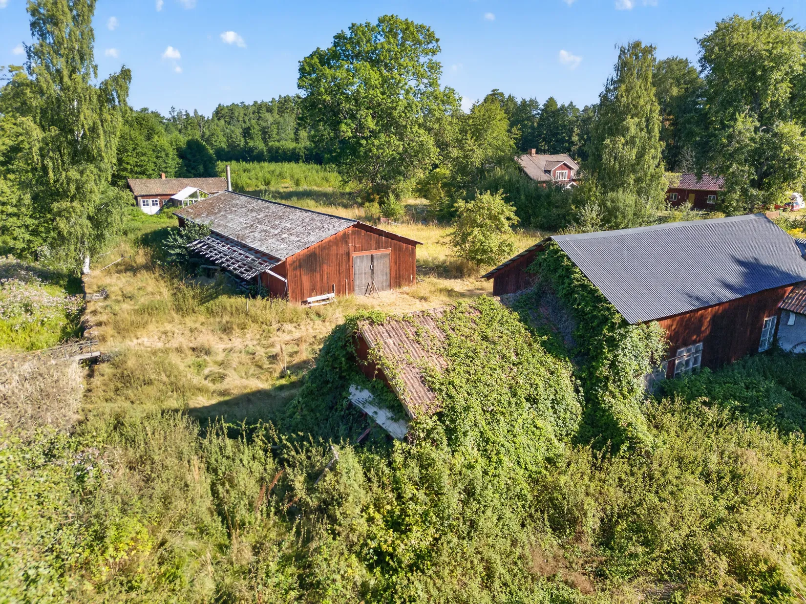 Gård/Skog, Kroppetorp Matildero 1, Tibro