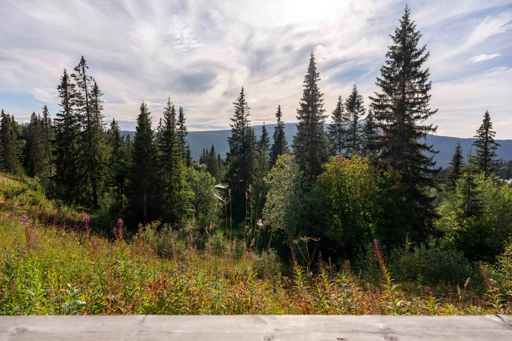 Bostadsrätt, Björnen Norra Hermelinen 5D, Åre Björnen, Åre