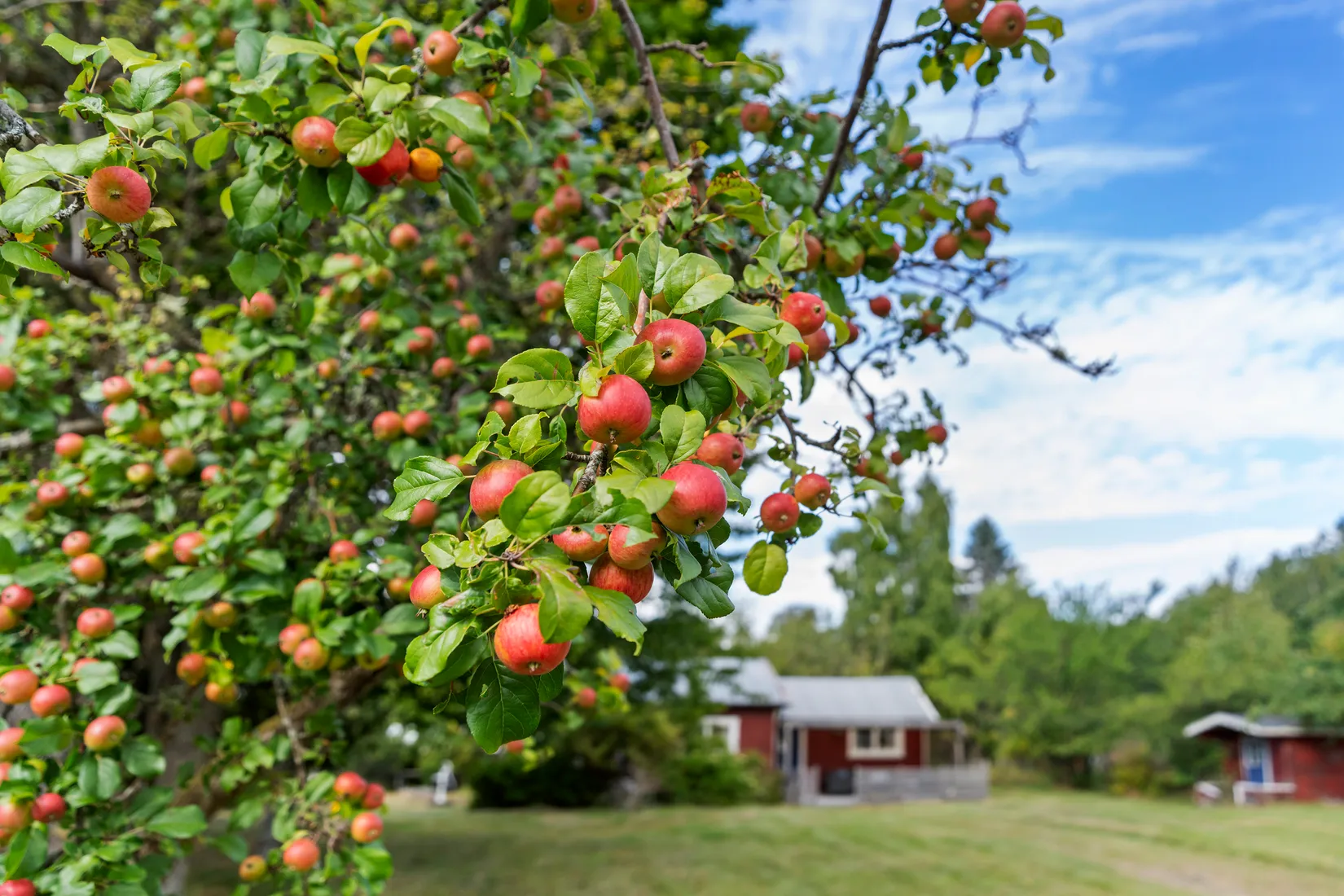 Fritidshus, Ålvägen 12, Nordkroken, Vänersborg
