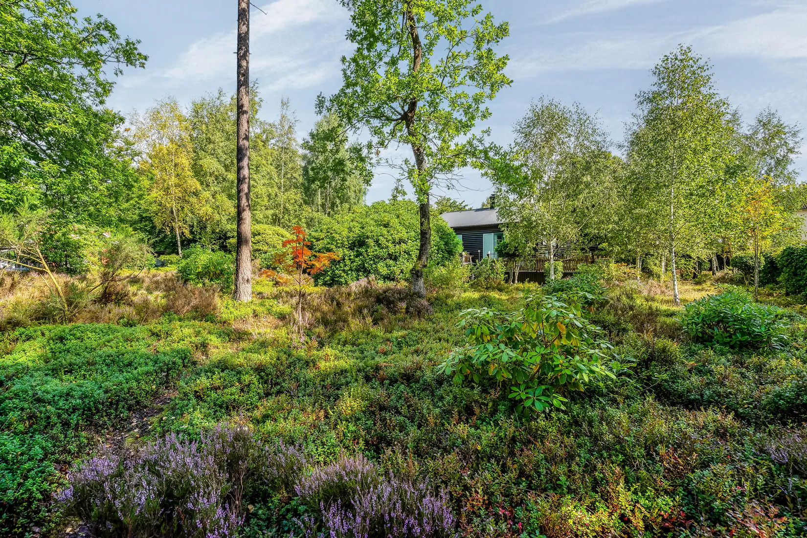 Fritidshus, Karl Perssons väg 6, Vittsjö, Hässleholm
