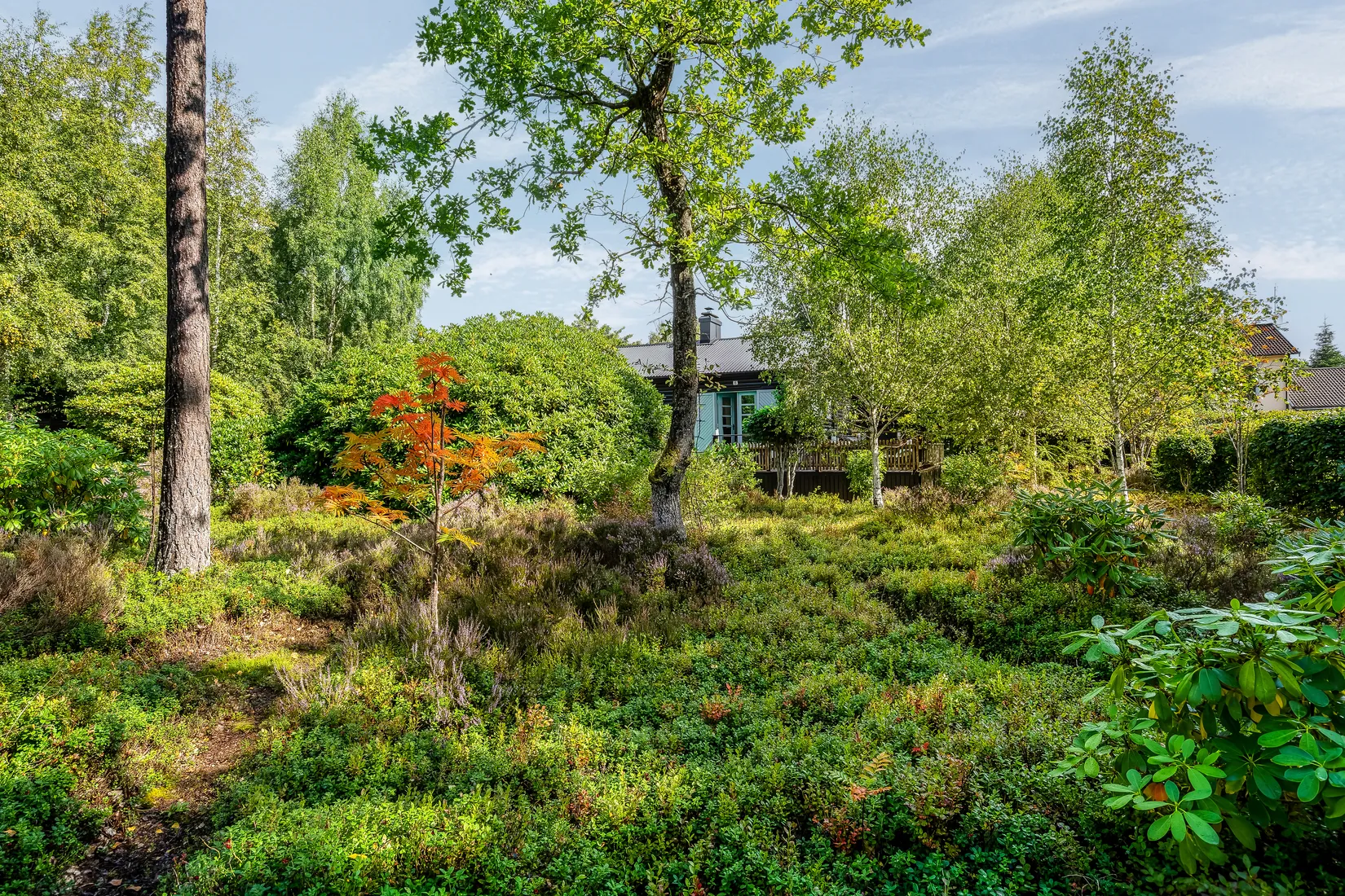 Fritidshus, Karl Perssons väg 6, Vittsjö, Hässleholm