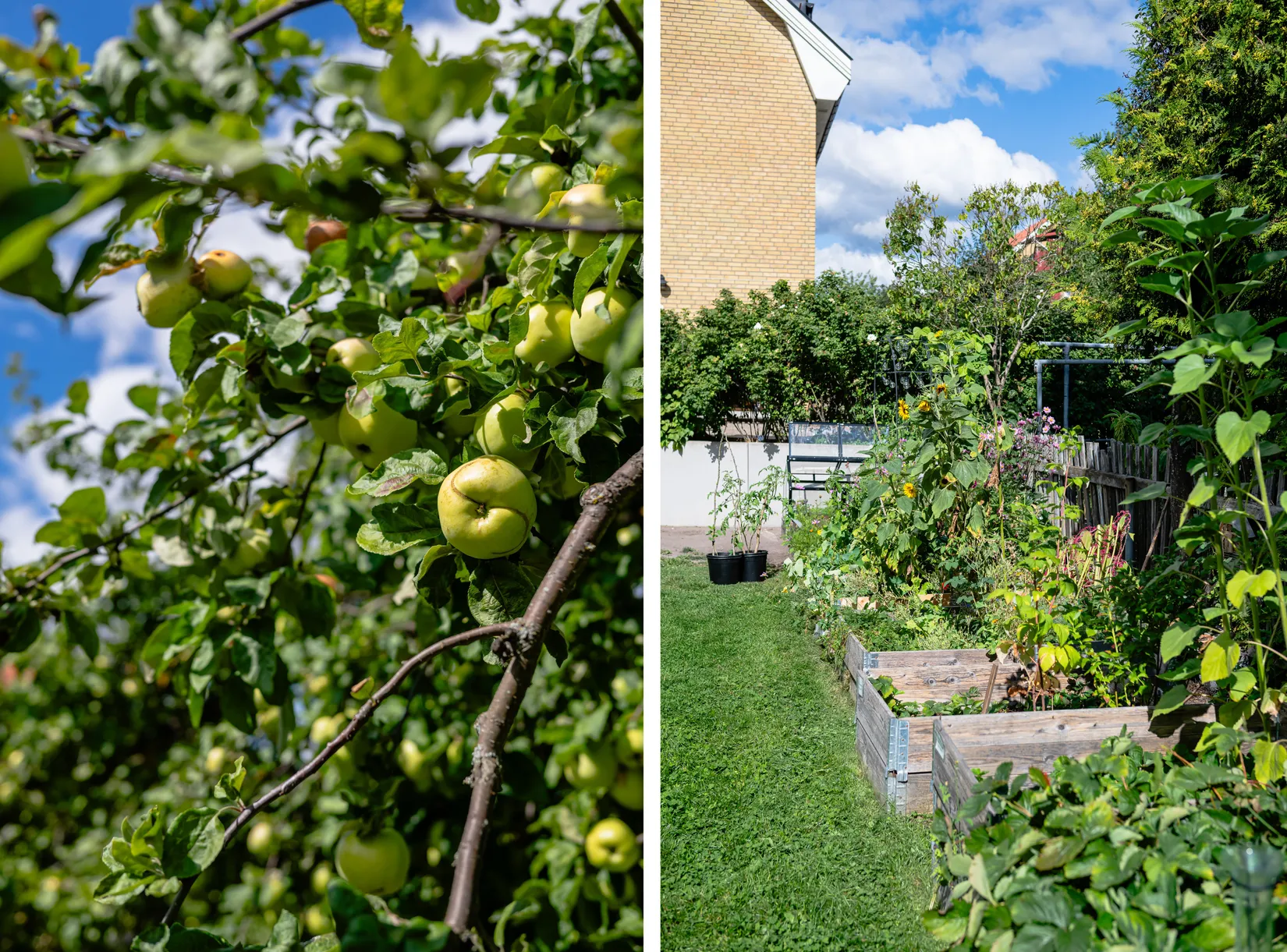 Bostadsrätt, Västra tullgatan 8, Väster, Nyköping