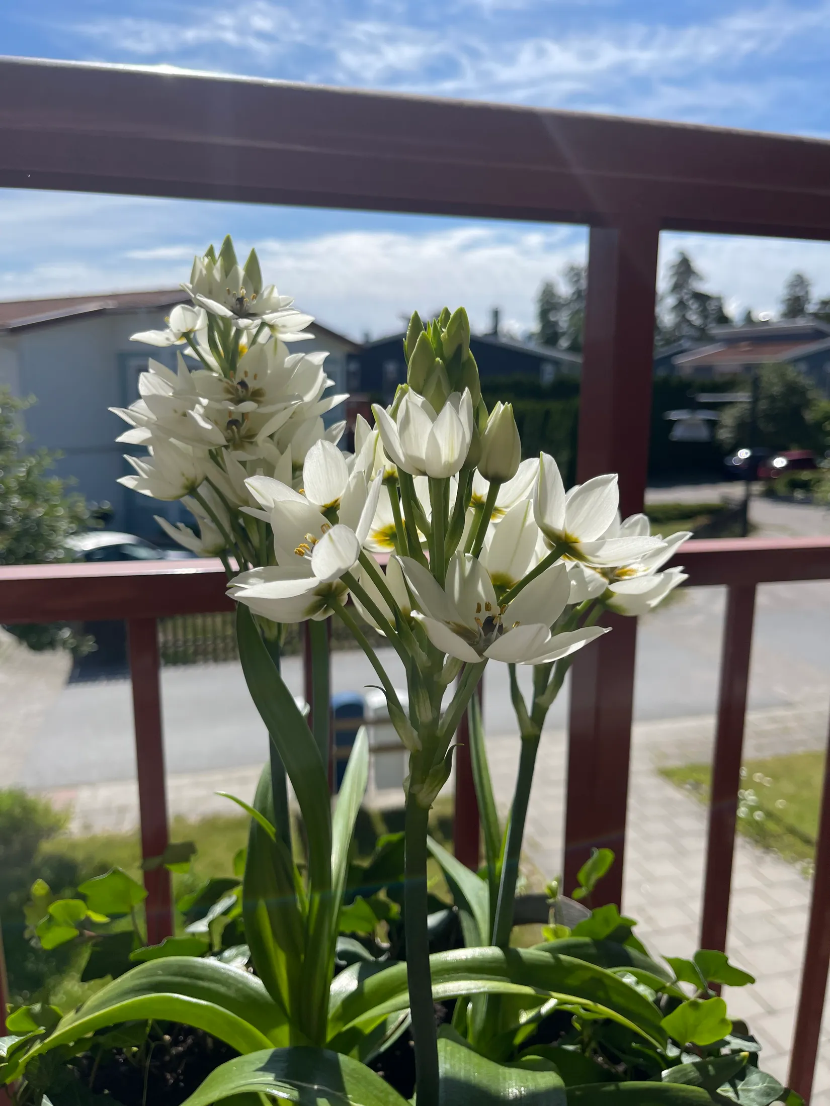 Bostadsrätt, Gribbyvägen 11D, Gribbylund, Täby