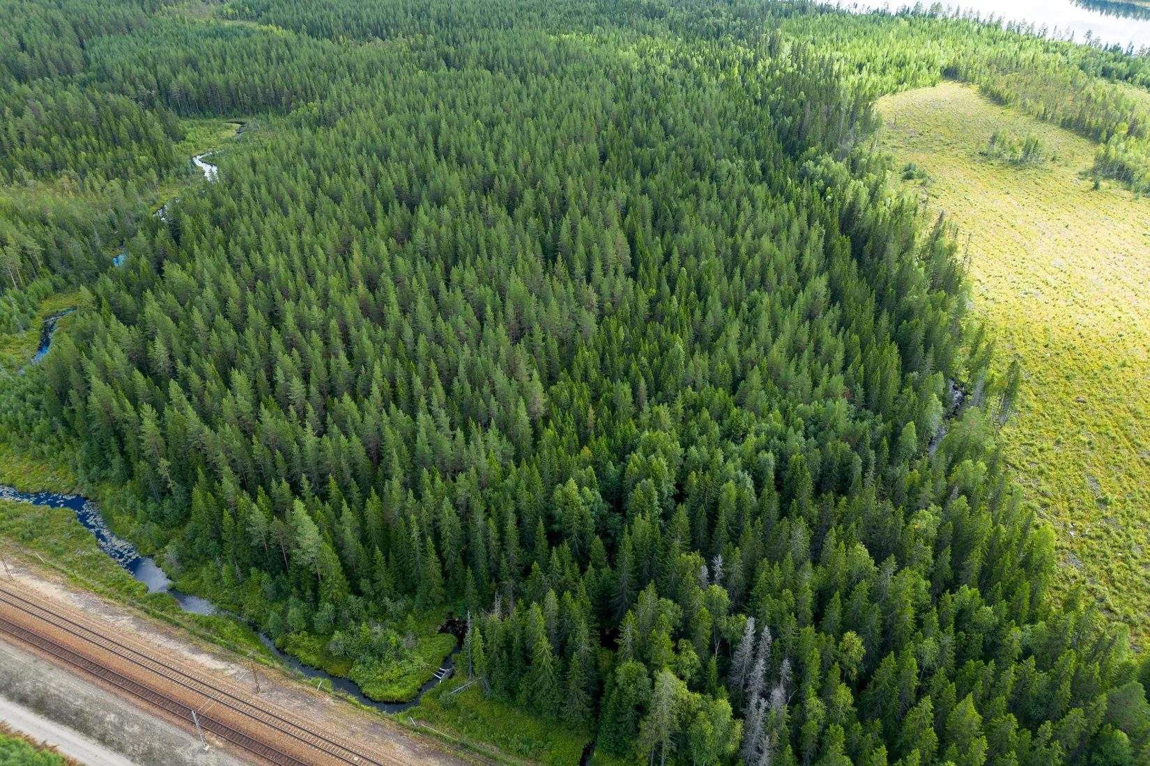 Gård/Skog, Örnsköldsvik Långvattnet 1:20, Långviksmon, Örnsköldsvik