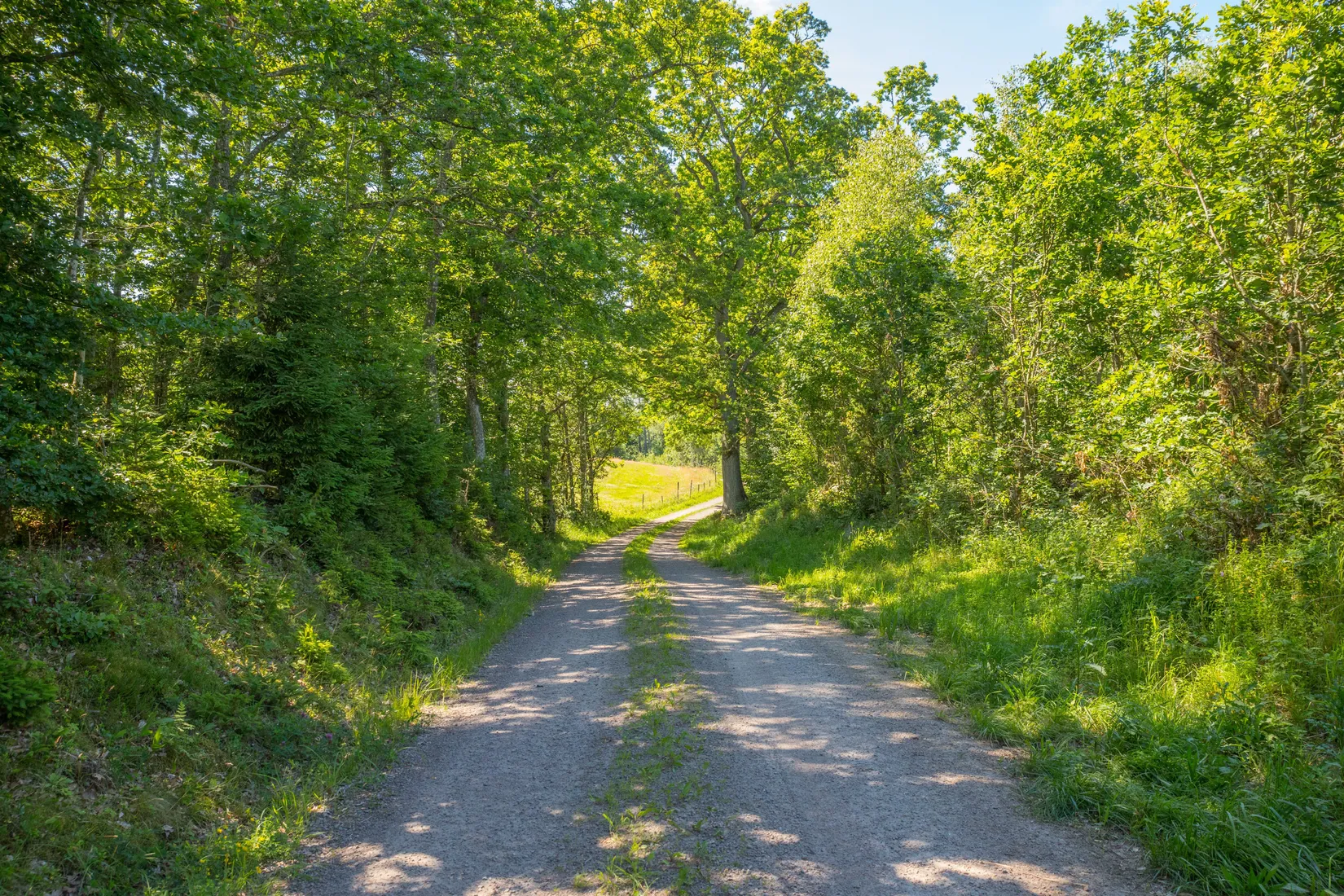 Gård/Skog, Ugglarp 1092, Klippan