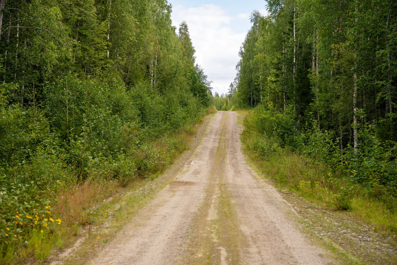 Gård/Skog, Örnsköldsvik Långvattnet 1:68, Långviksmon, Örnsköldsvik
